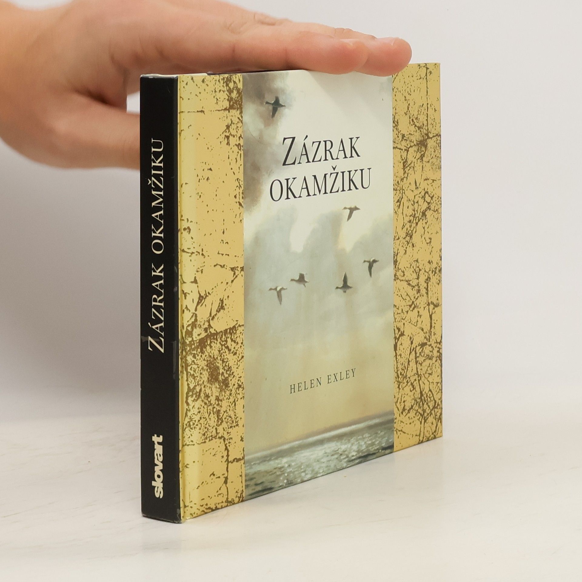 Helen Exley Zázrak okamžiku