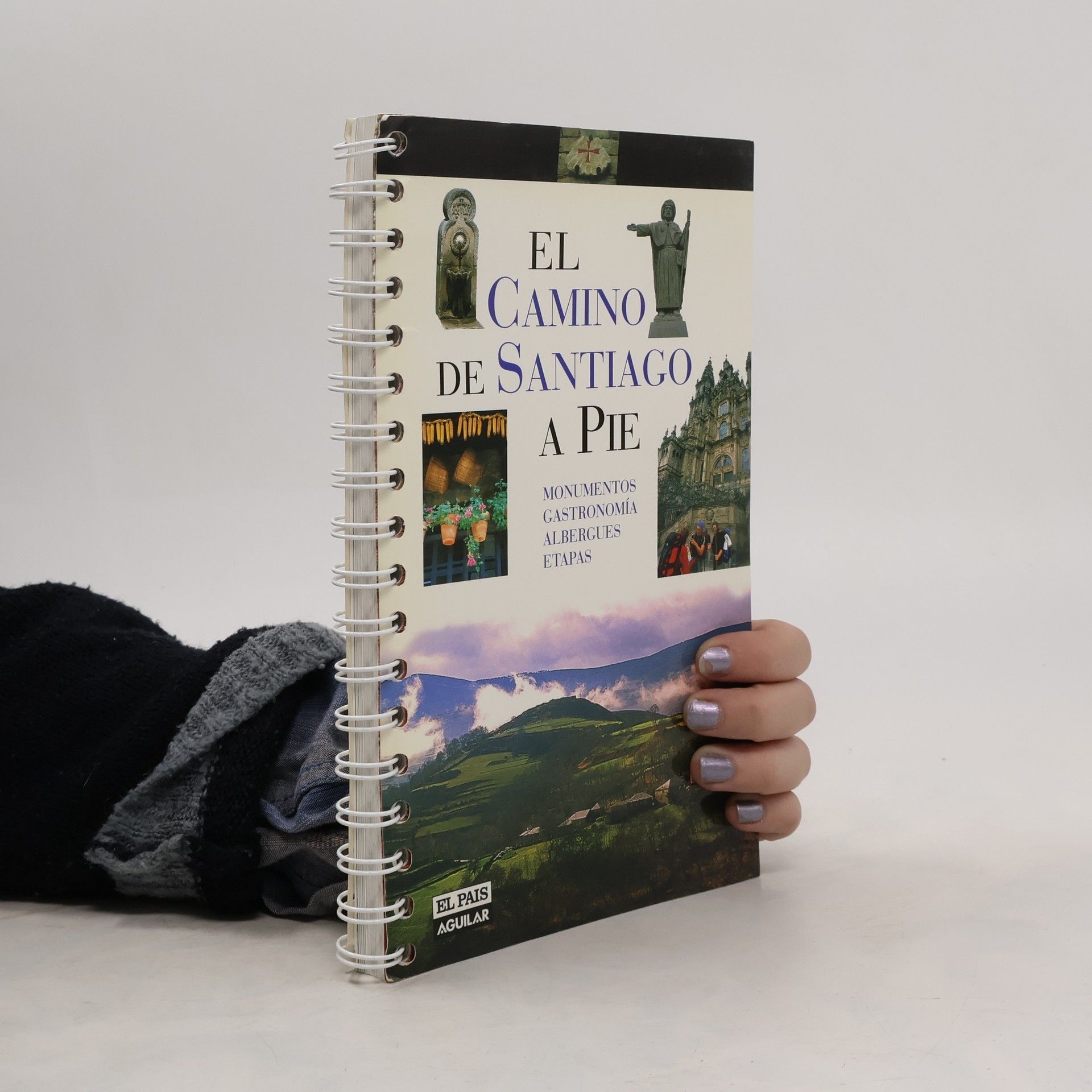 El Camino de Santiago a Pie