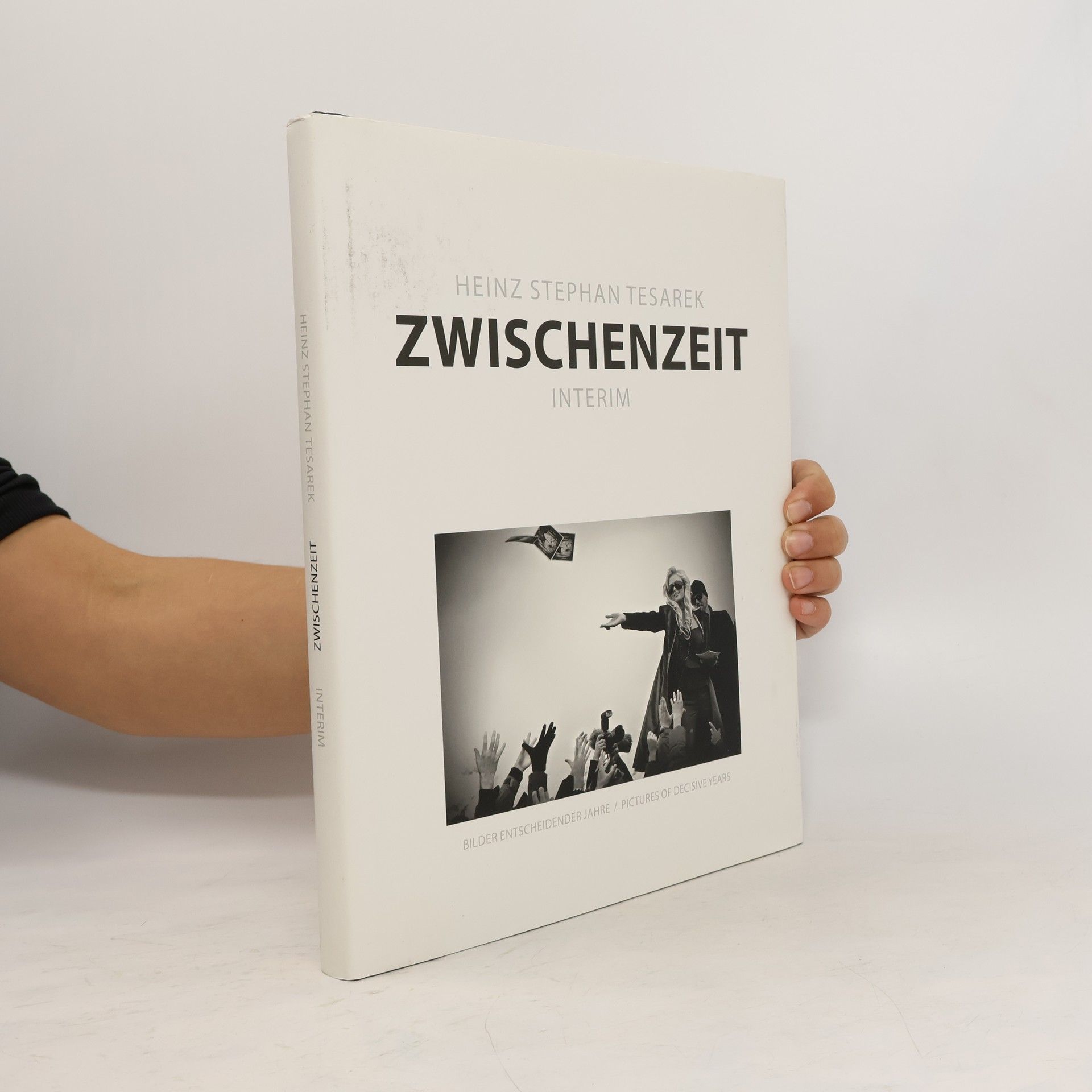 Heinz Stephan Tesarek Zwischenzeit