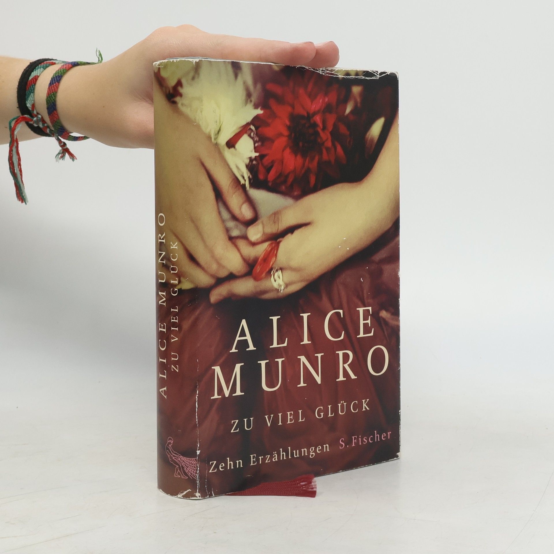 Alice Munro Zu viel Glück