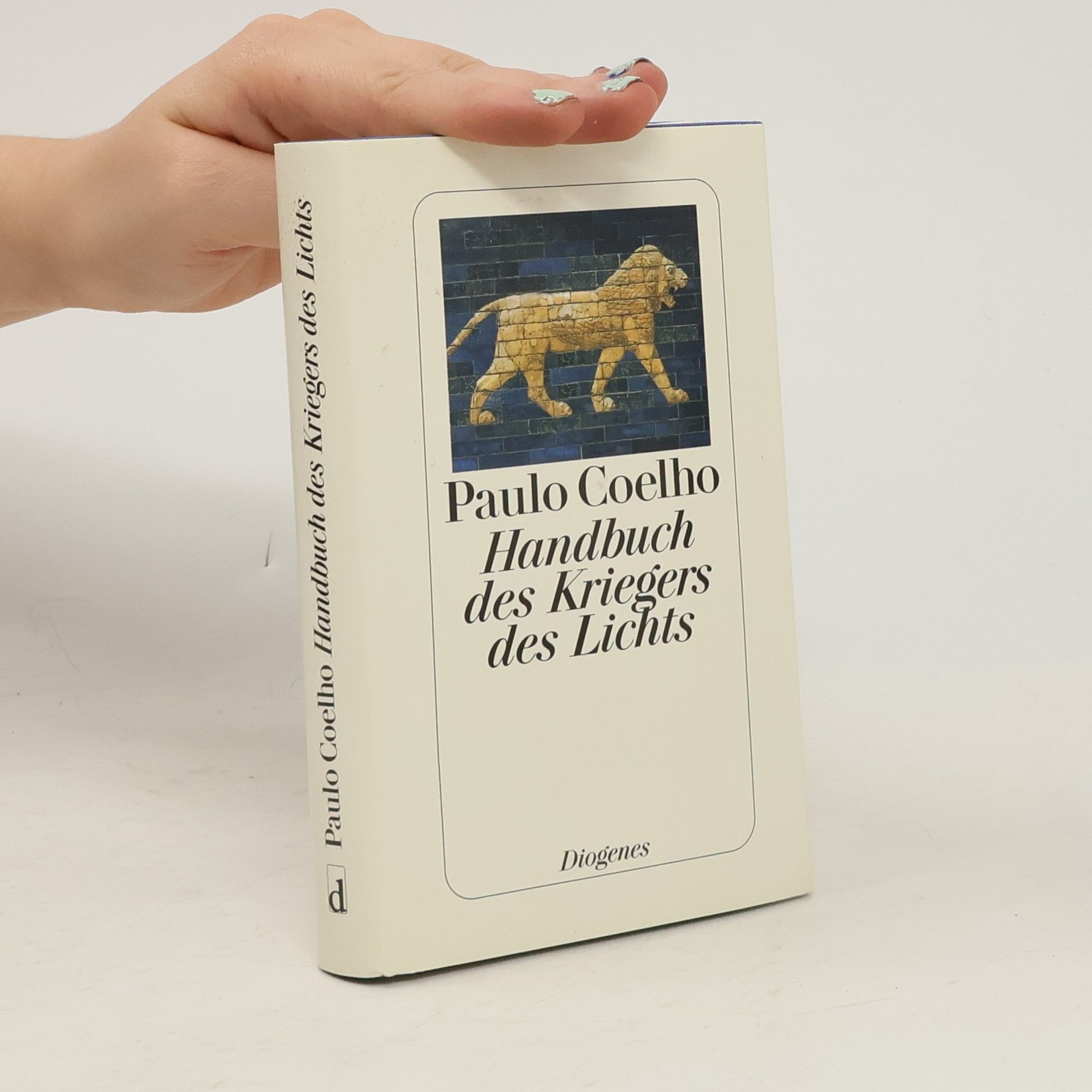 Paulo Coelho Handbuch des Kriegers des Lichts