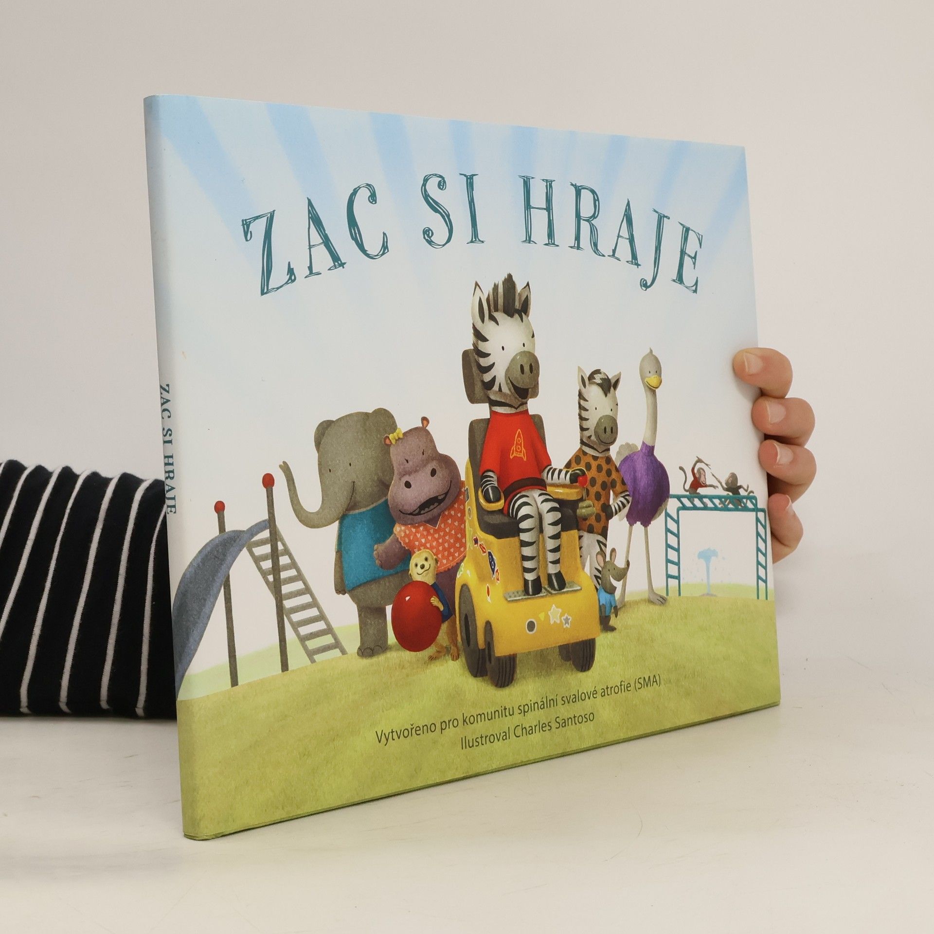 Kolektiv autorů Zac si hraje