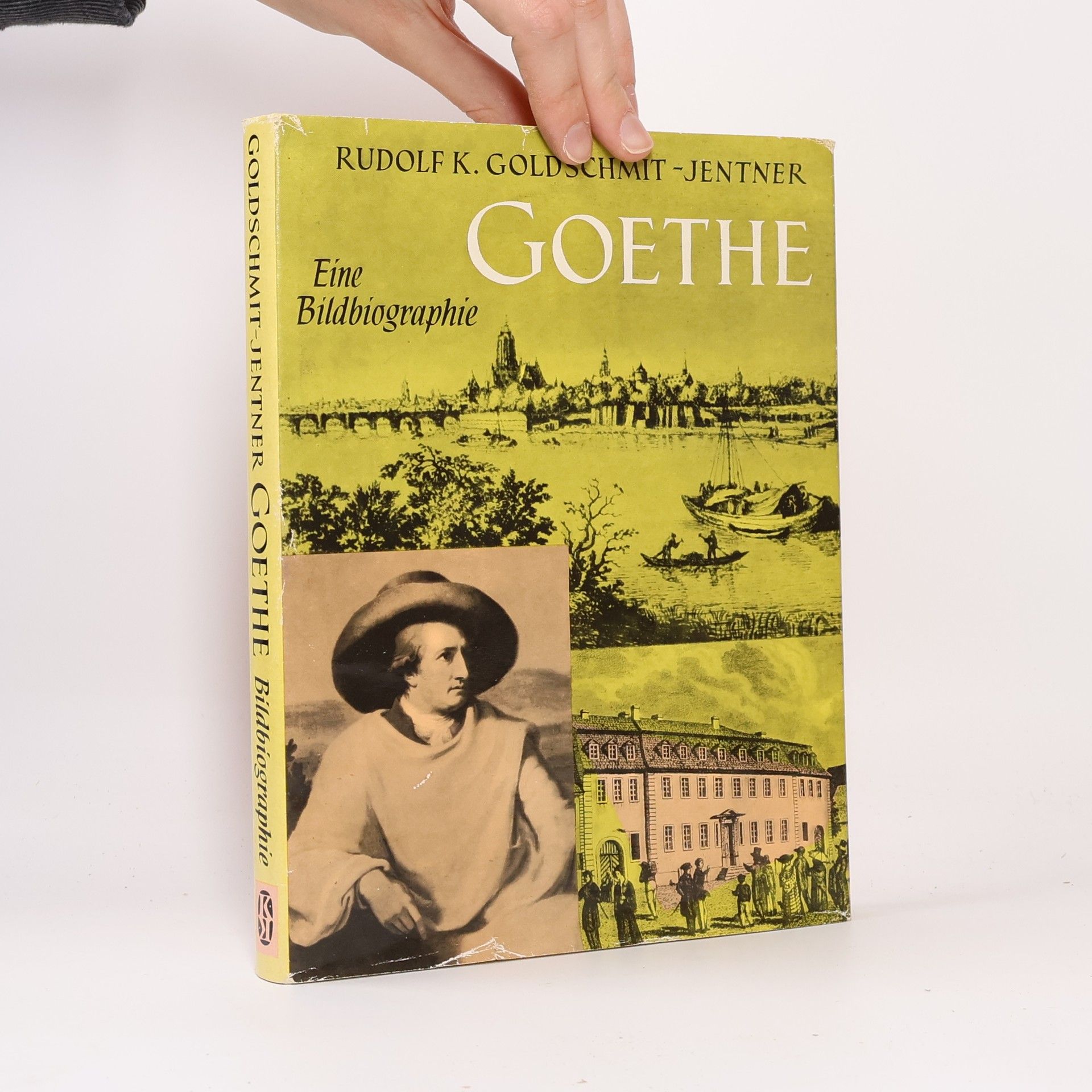 Goethe. Eine Bildbiographie