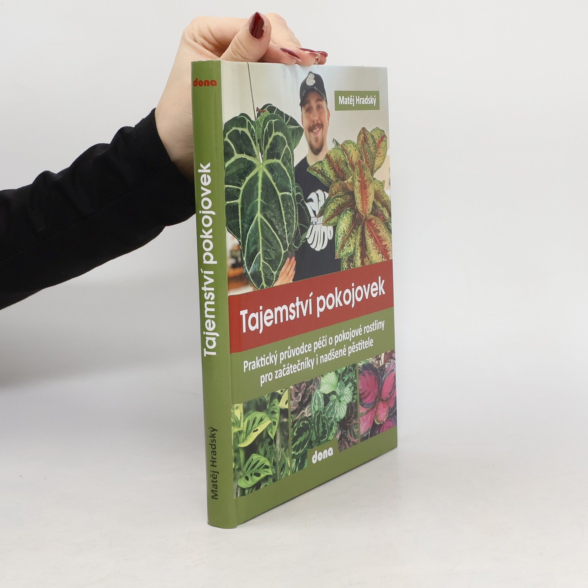 Matěj Hradský Tajemství pokojovek