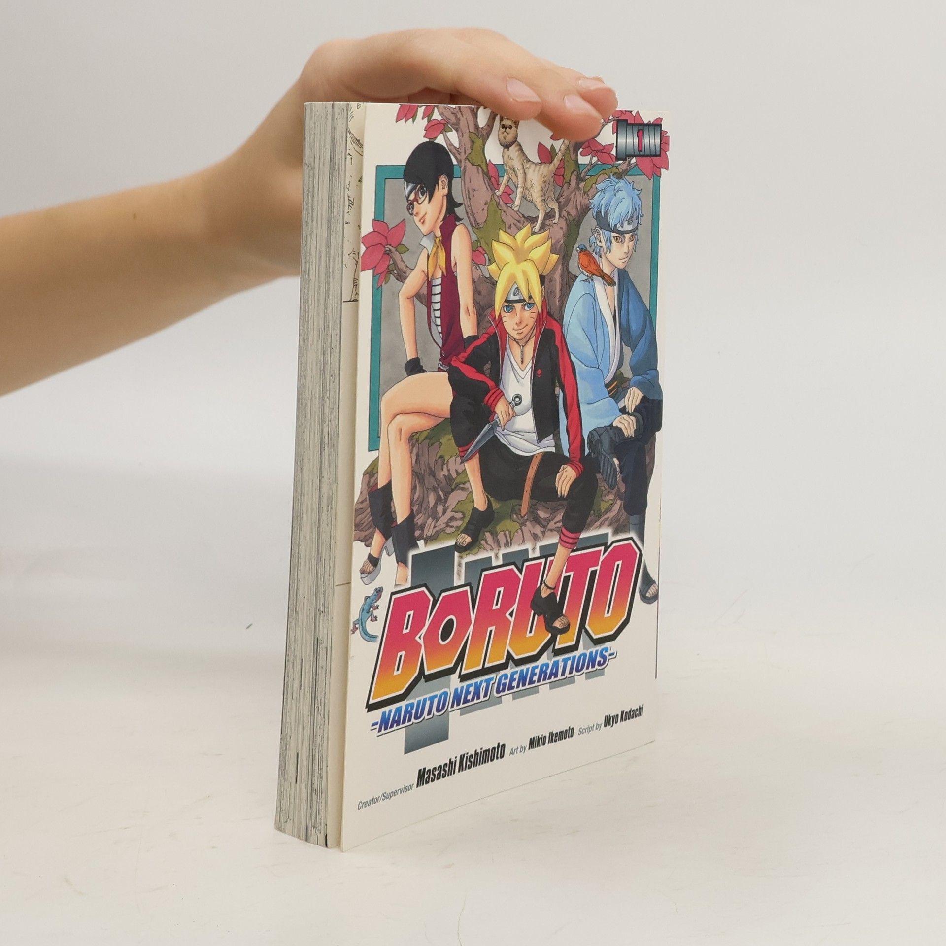 Ukyo Kodachi Boruto: I. díl