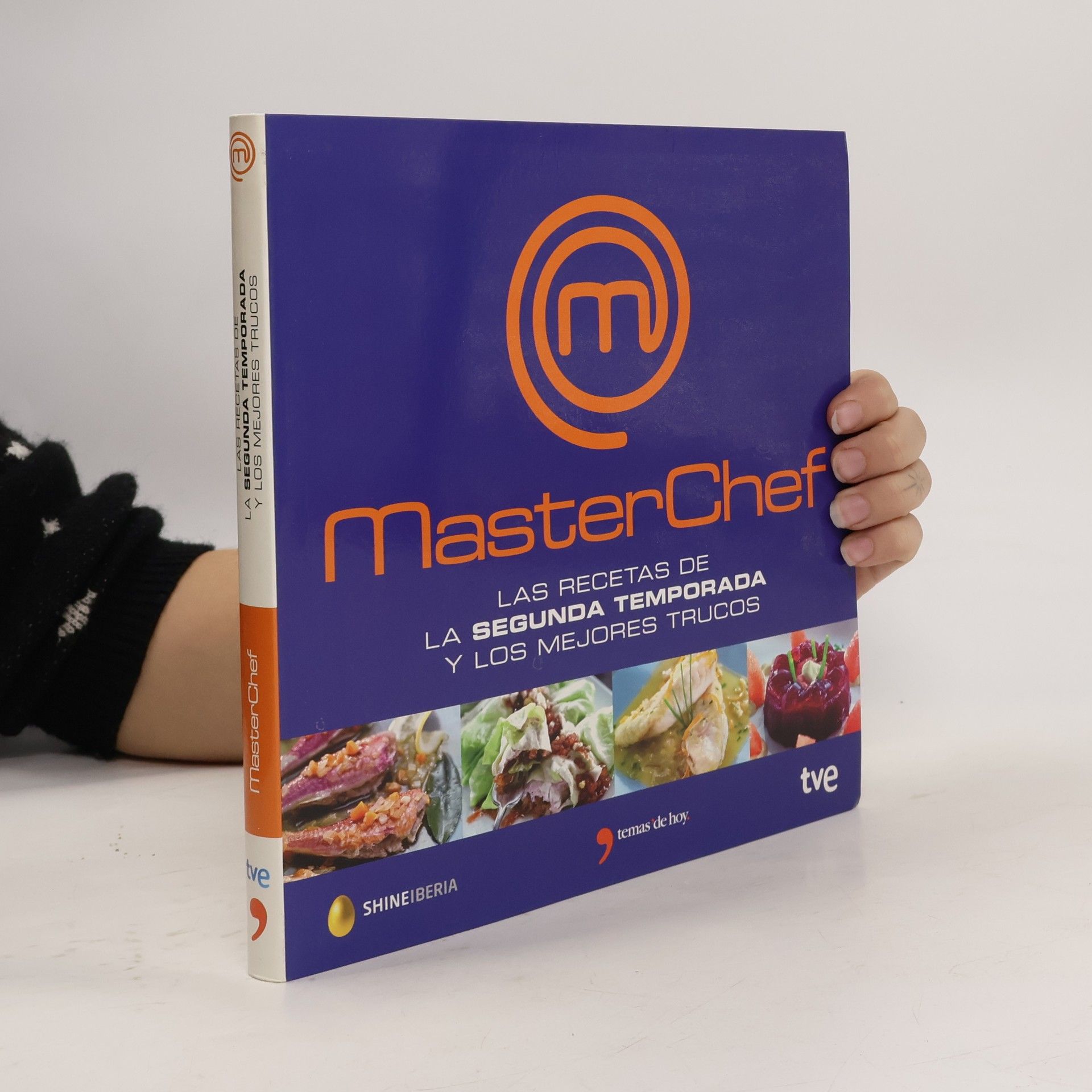 Autores varios Masterchef : las recetas de la segunda temporada y los mejores trucos