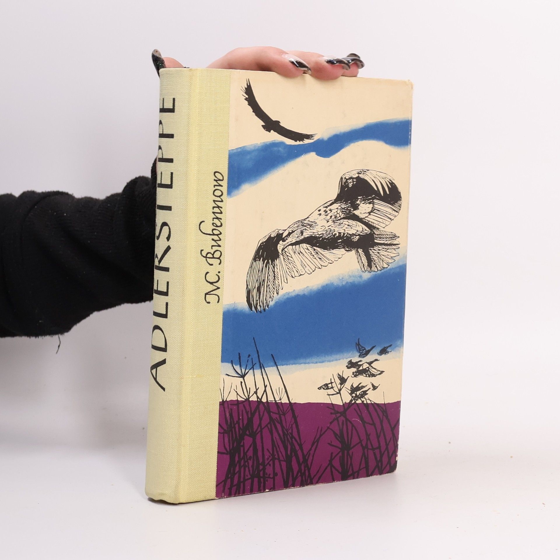 Michail S. Bubennov Adlersteppe