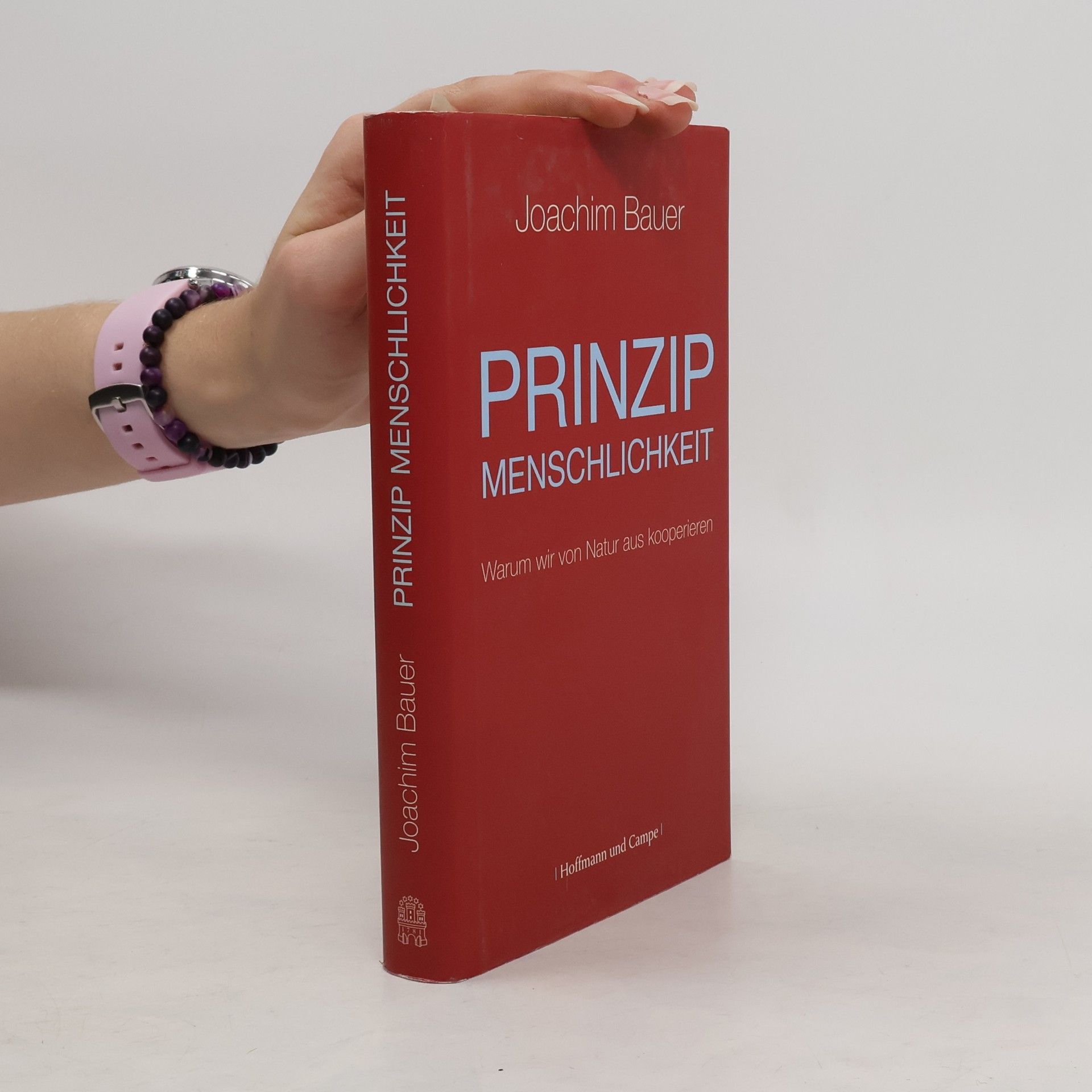 Prinzip Menschlichkeit