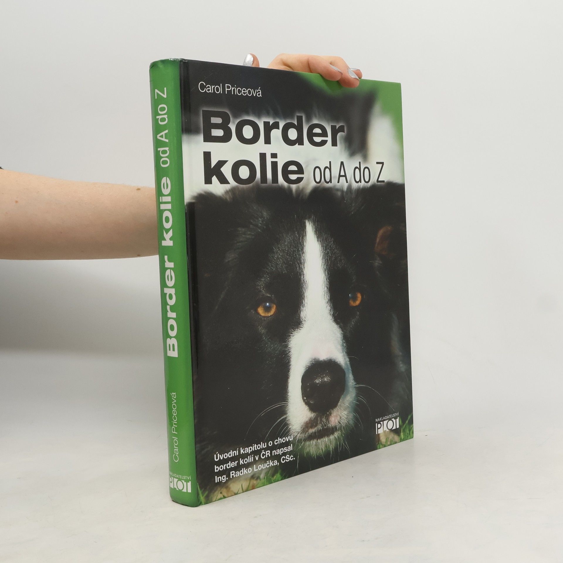 Carol Price Border kolie od A do Z