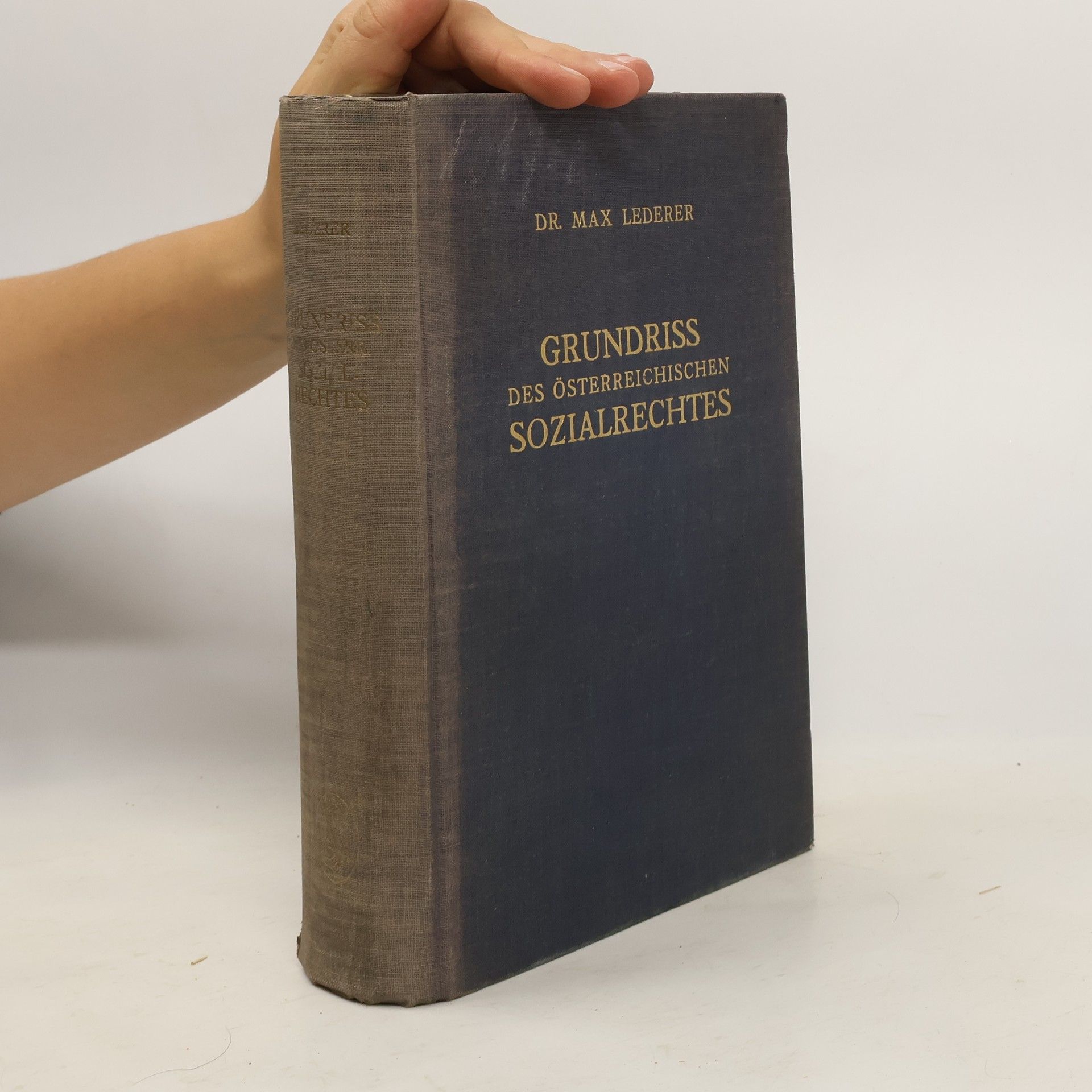 Max Lederer Grundriss des österreichischen Sozialrechtes