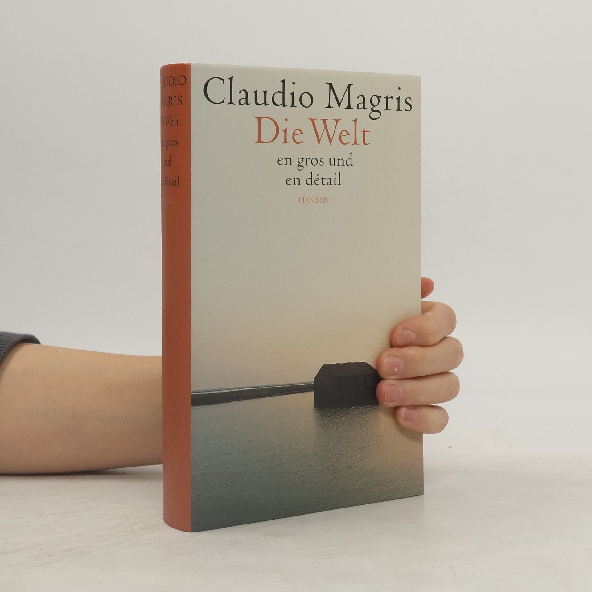 Claudio Magris Die Welt en gros und en détail