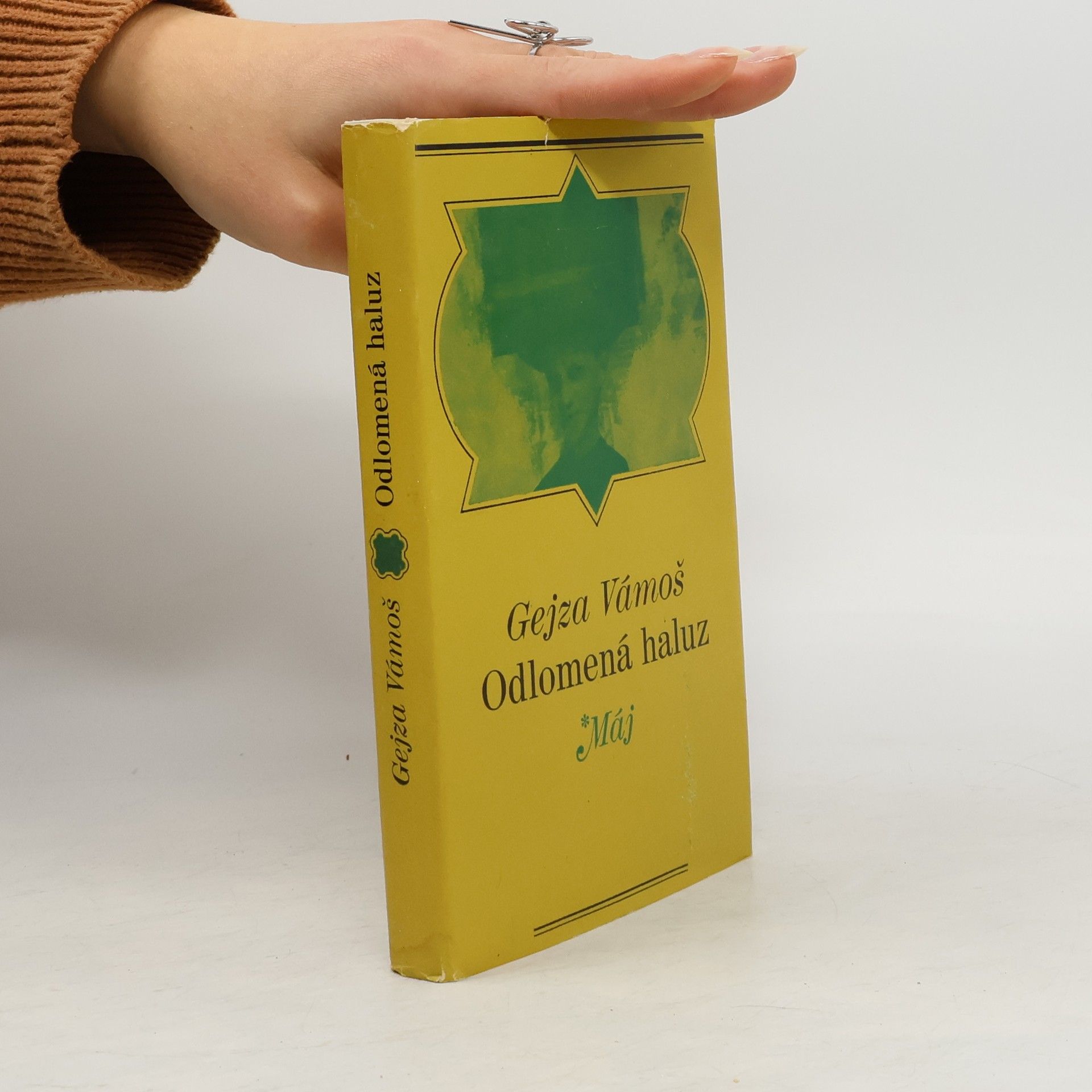 Gejza Vámoš Odlomená haluz