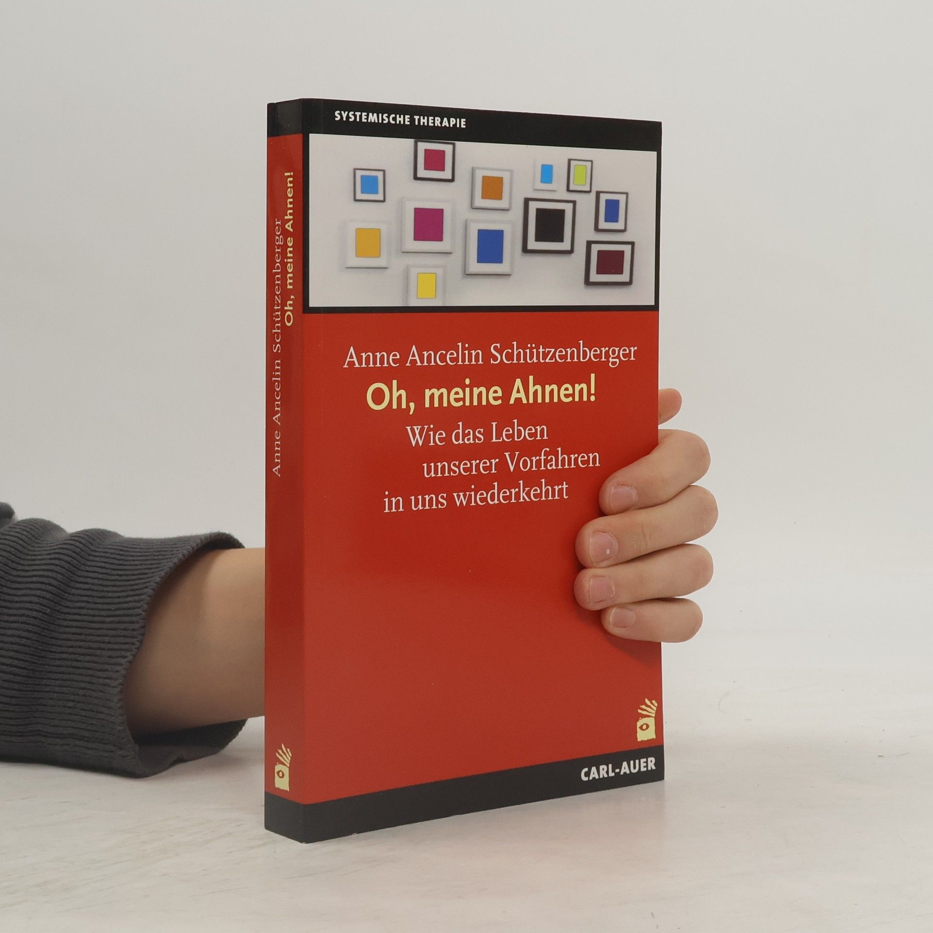 Anne Ancelin Schützenberger Oh, meine Ahnen!