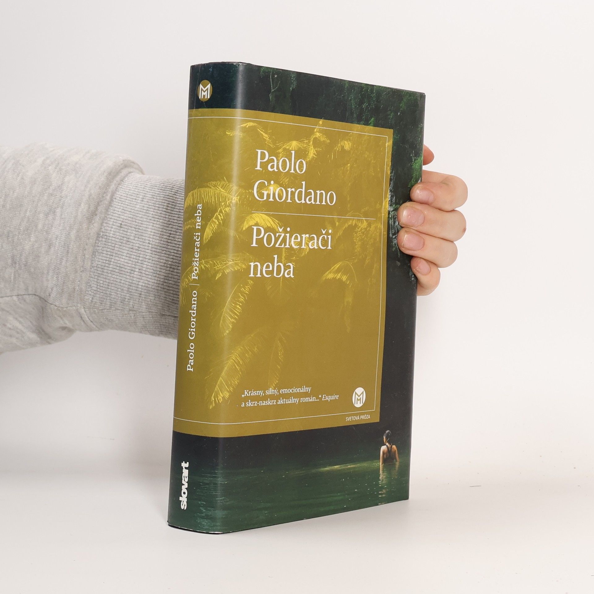 Paolo Giordano Požierači neba