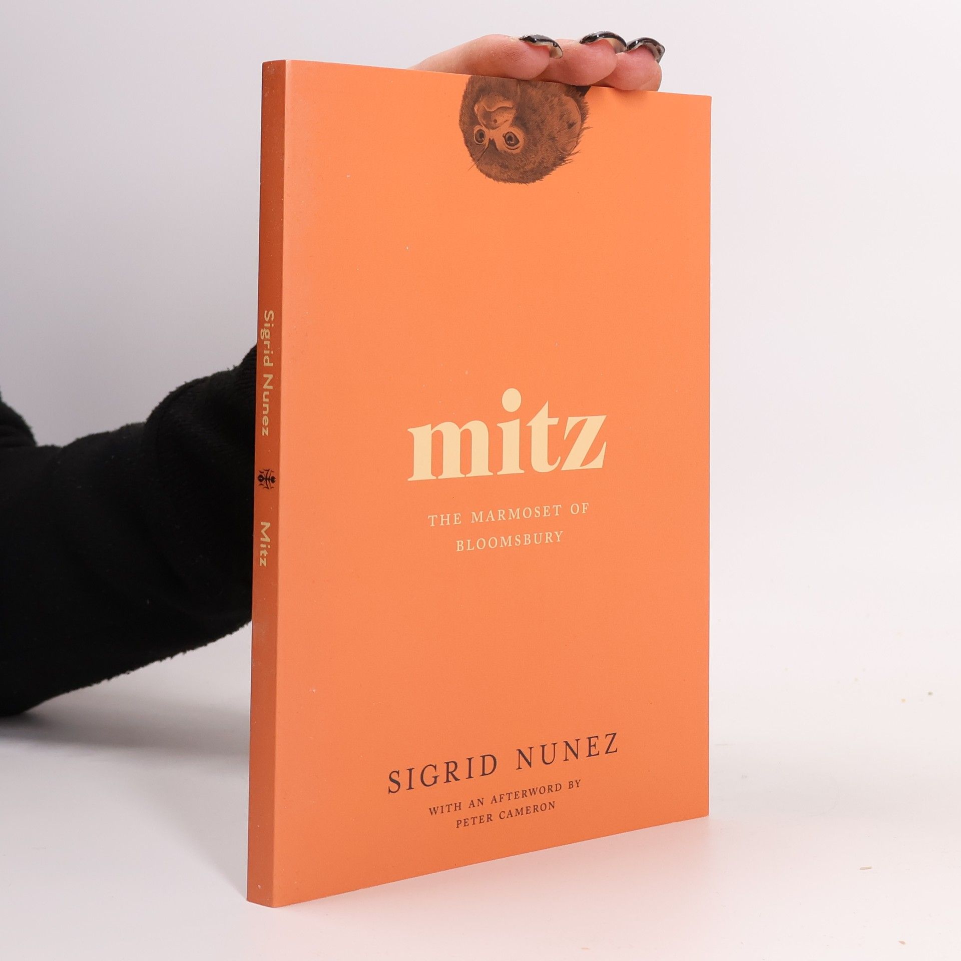 Mitz: The Marmoset of Bloomsbury