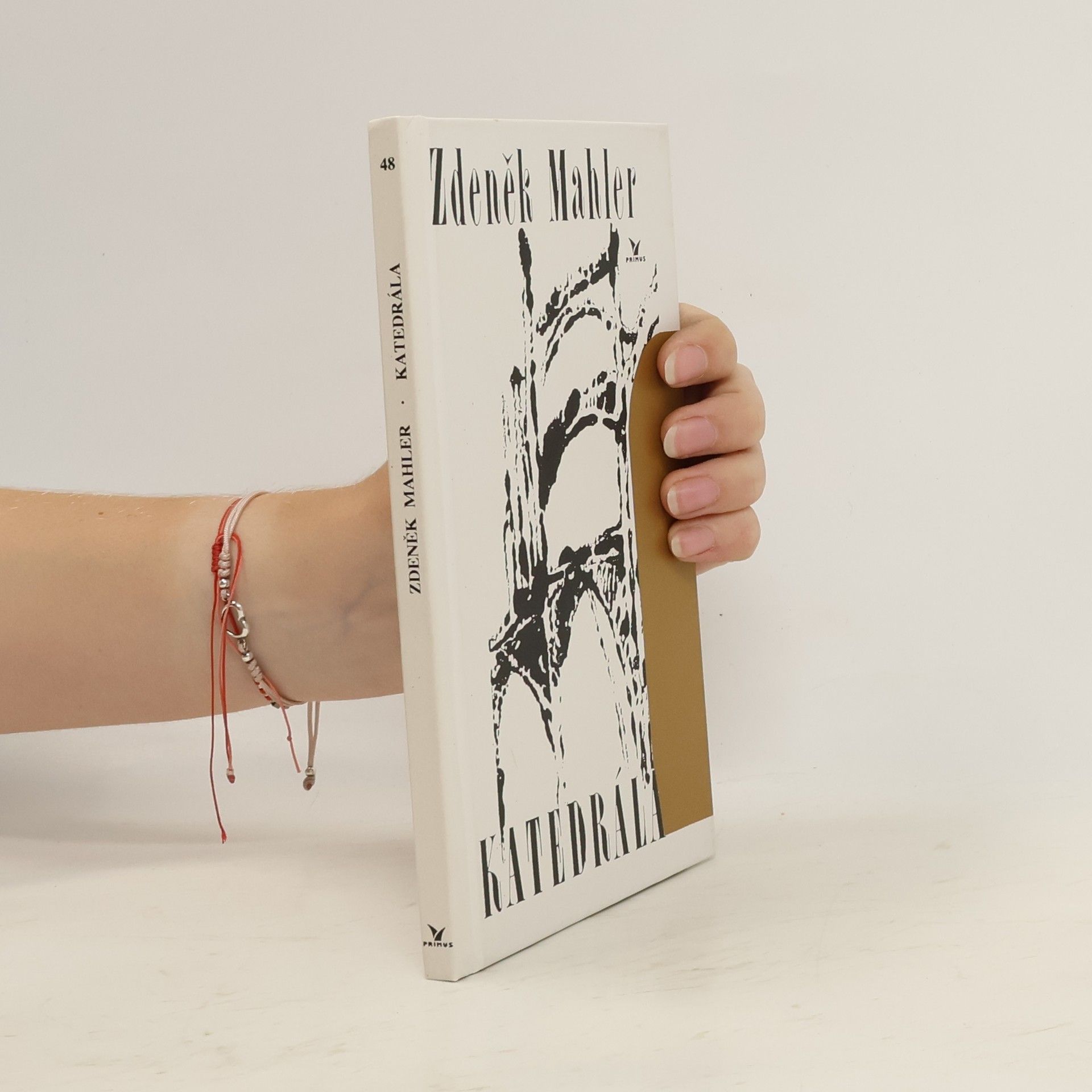 Zdeněk Mahler Katedrála