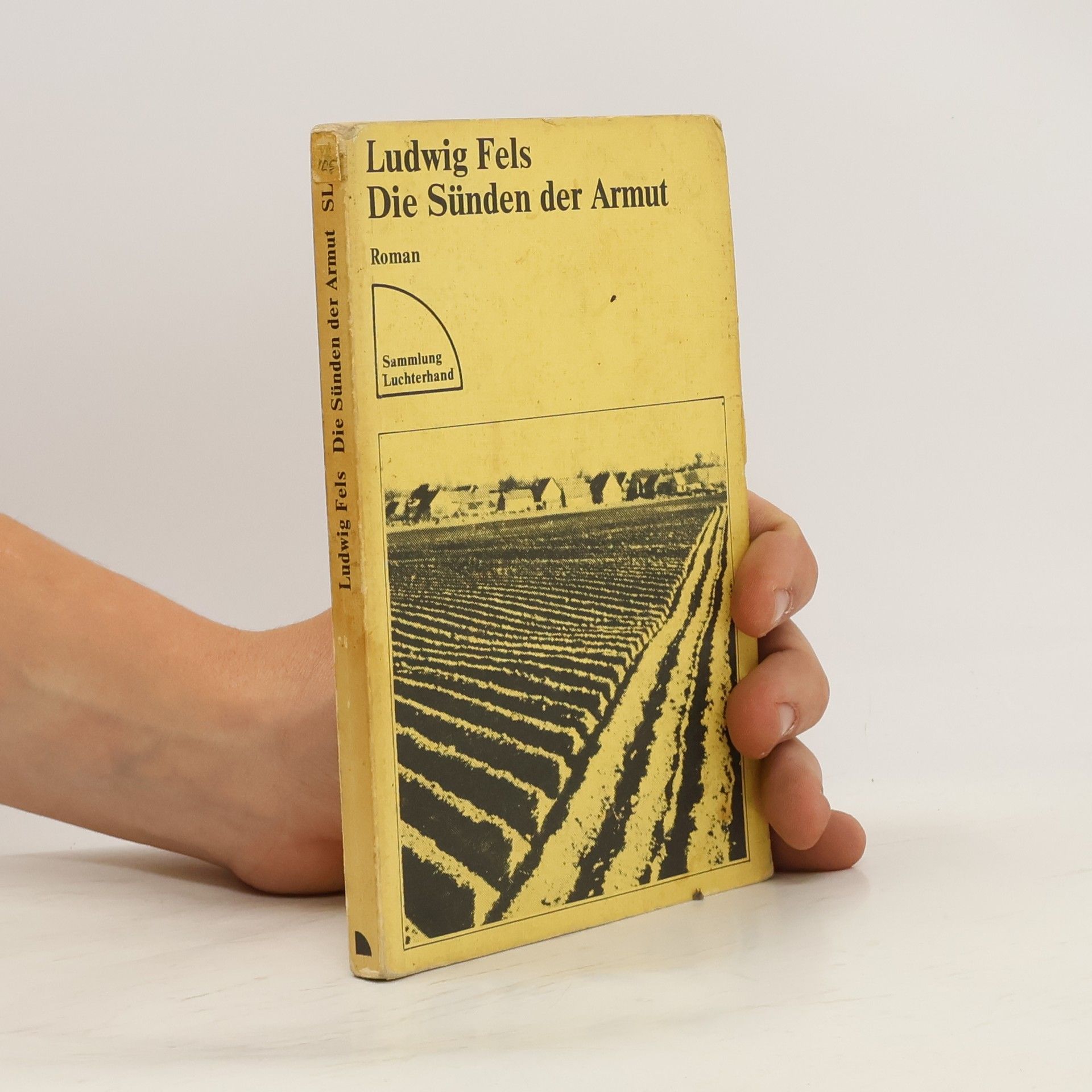 Ludwig Fels Die Sünden der Armut