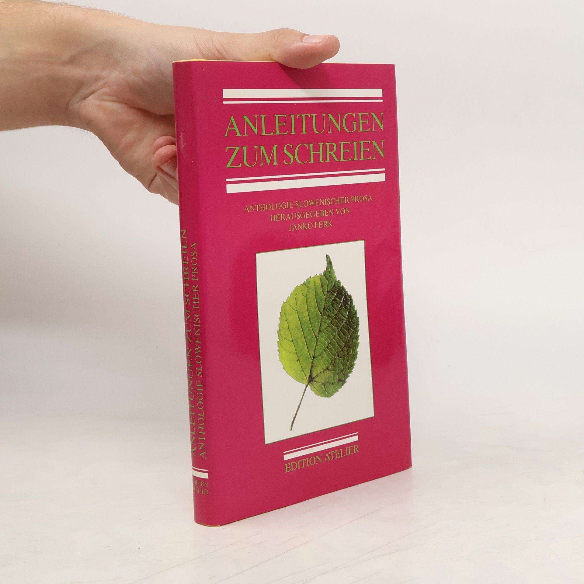 Janko Ferk Anleitungen zum Schreien