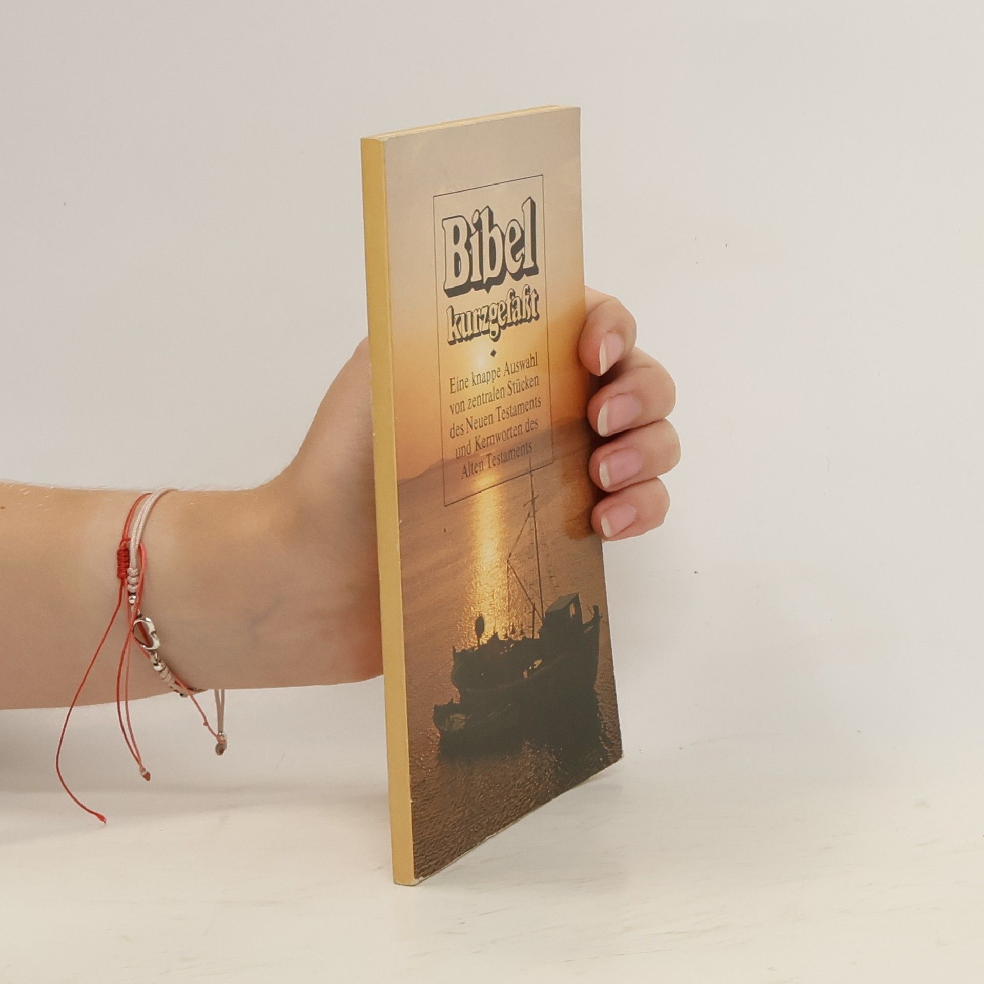 Auteurscollectief Bibel kurzgefasst