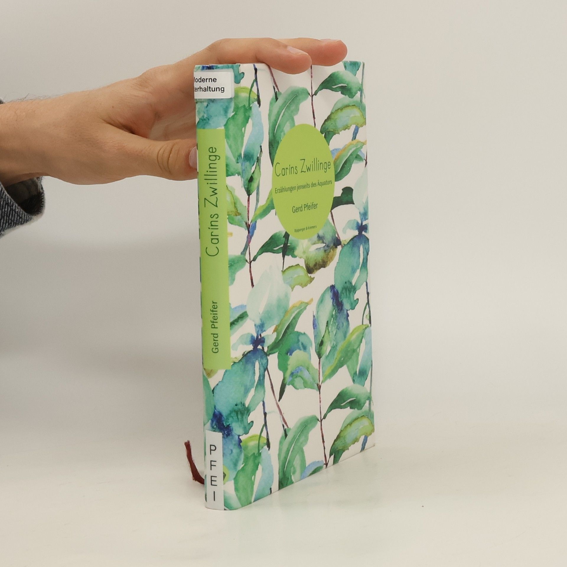 Gerd Pfeifer Caríns Zwillinge