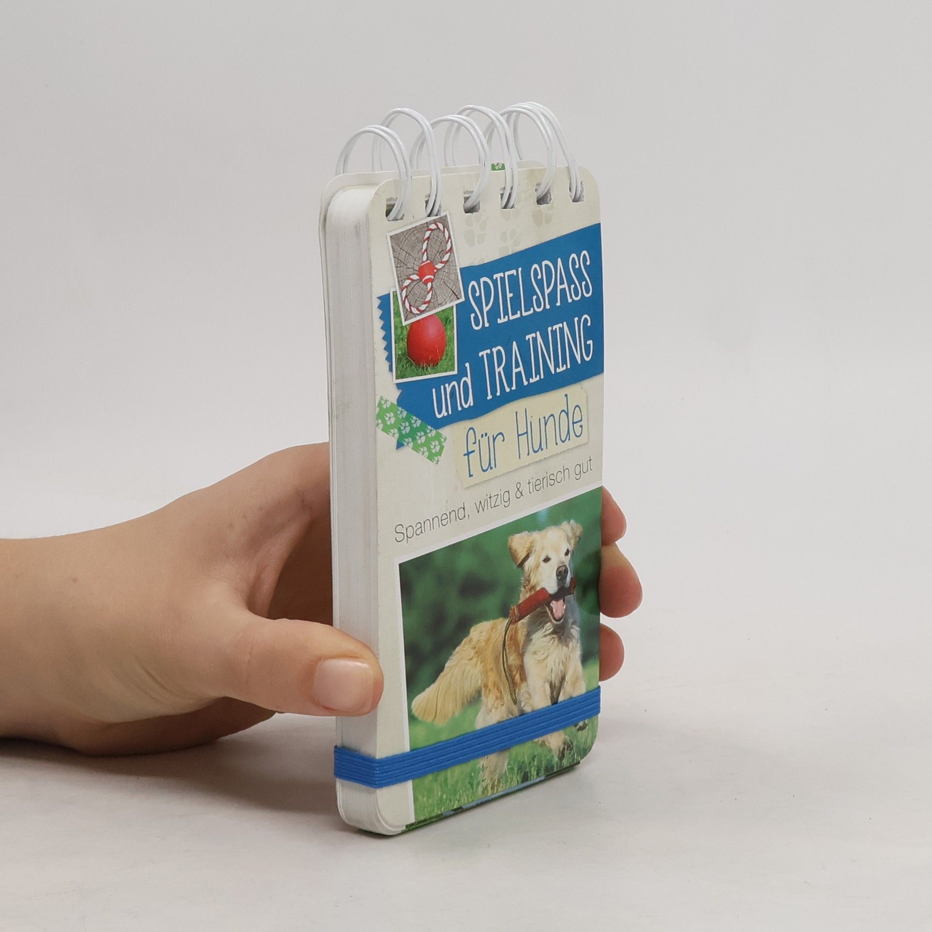 Autorenkollektiv Spielspass und Training für Hunde