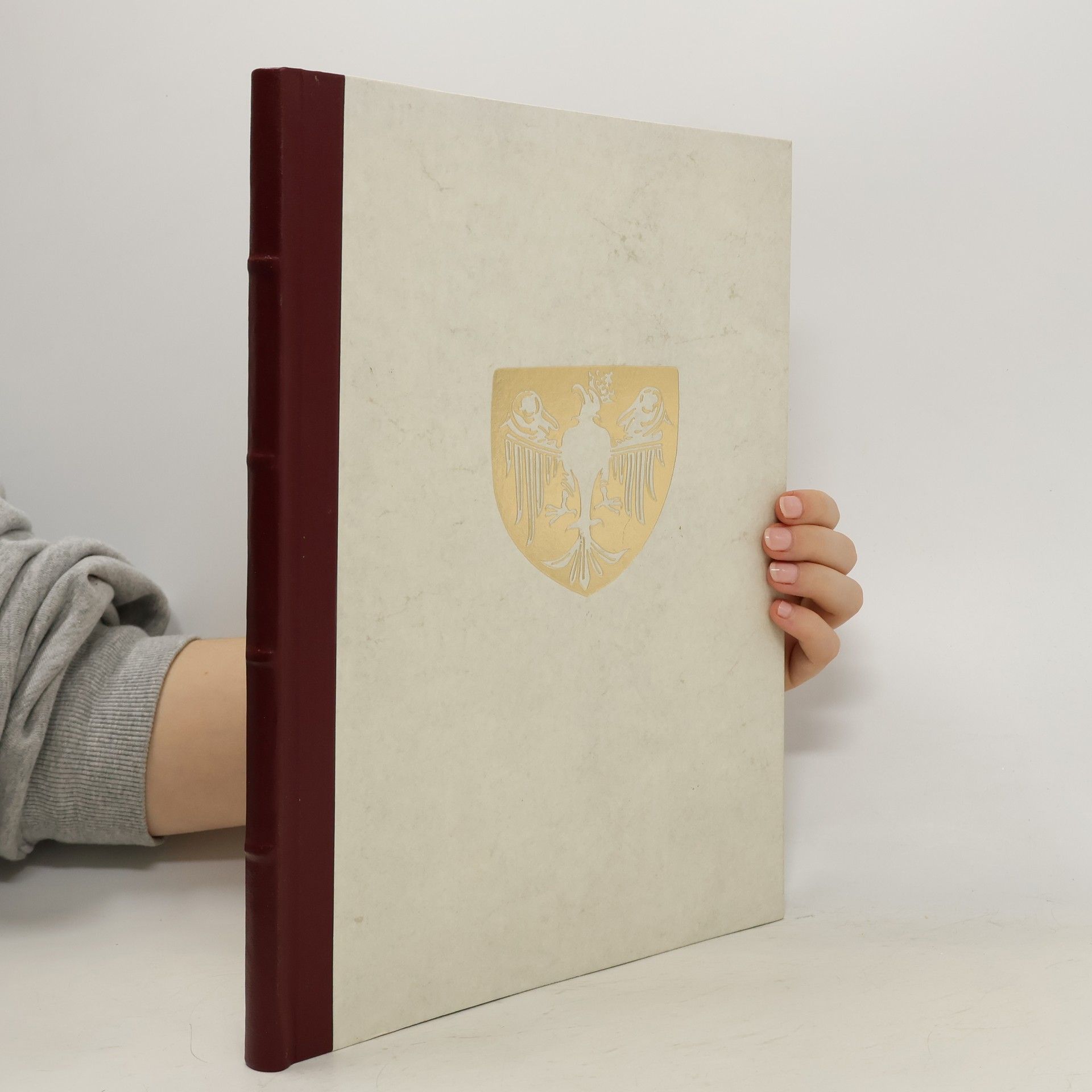 Mirosław Boruta Równi z równymi wolni z wolnymi