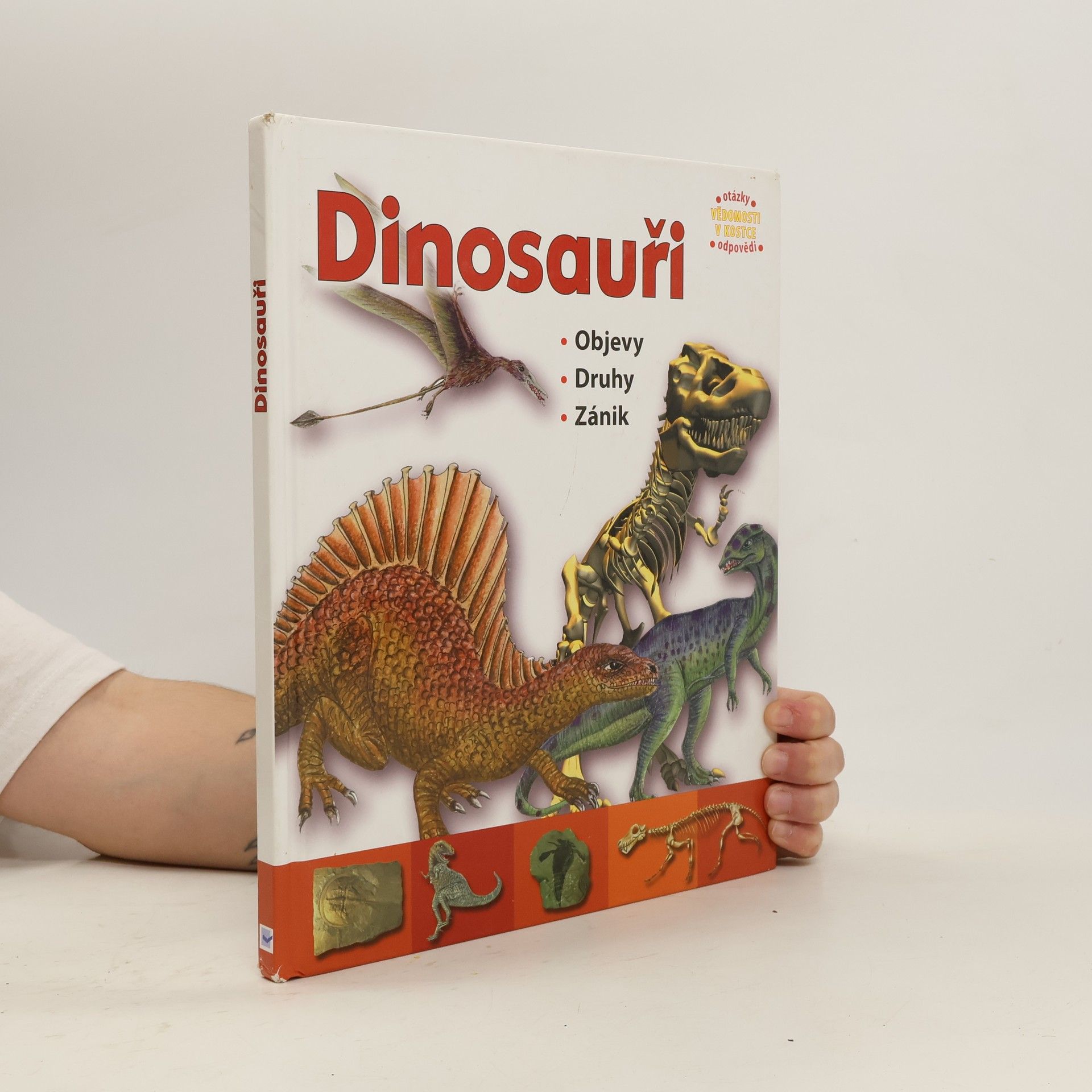 Autorenkollektiv Dinosauři : objevy, druhy, zánik