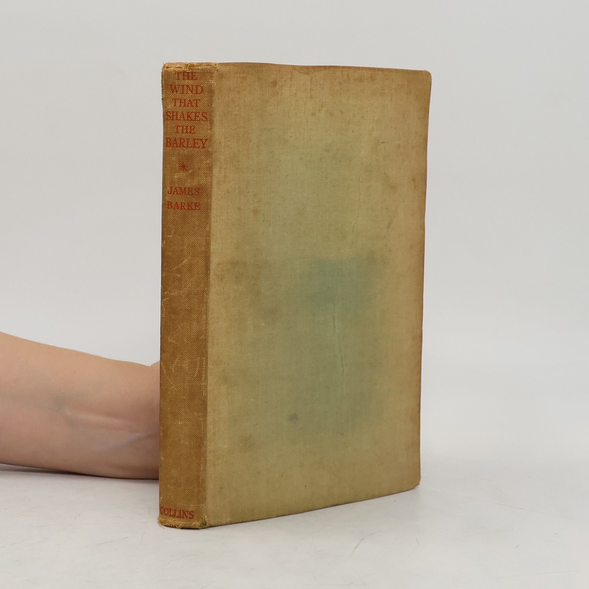 The Wind That Shakes the Barley