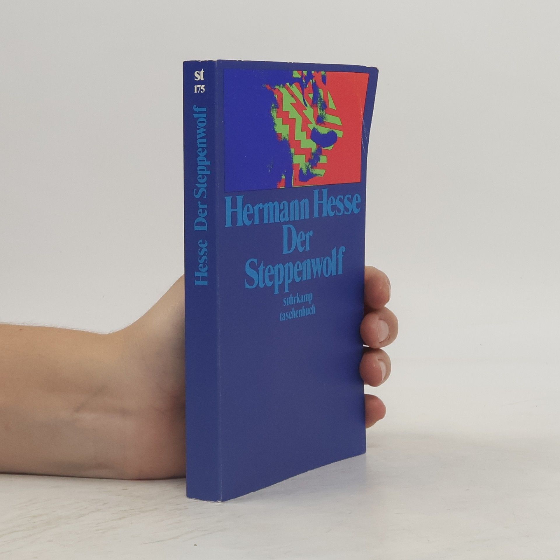 Hermann Hesse Der Steppenwolf