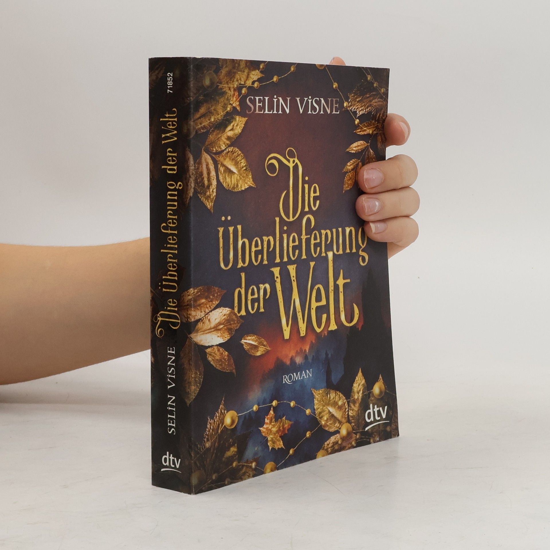 Selin Visne Die Überlieferung der Welt