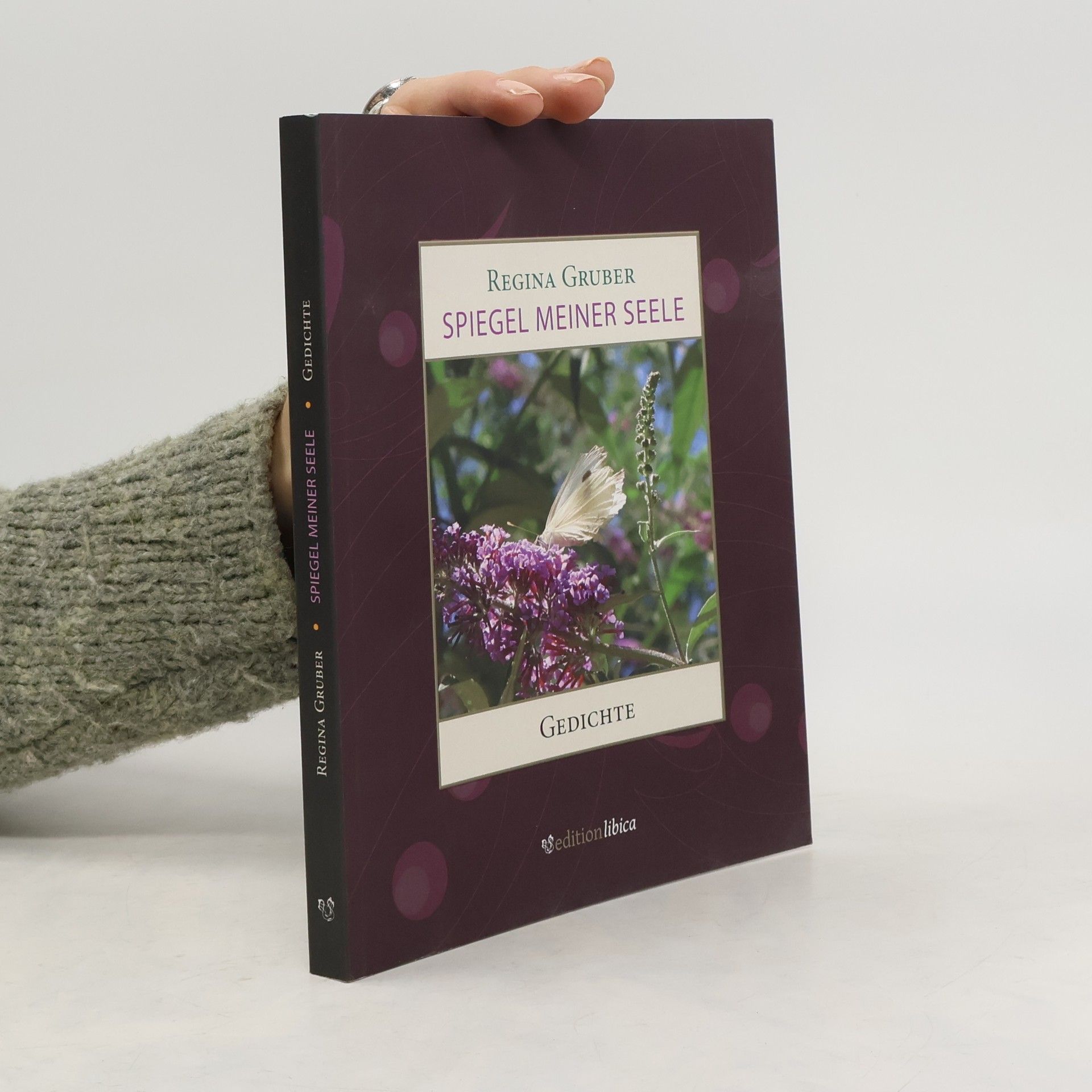 Spiegel Meiner Seele