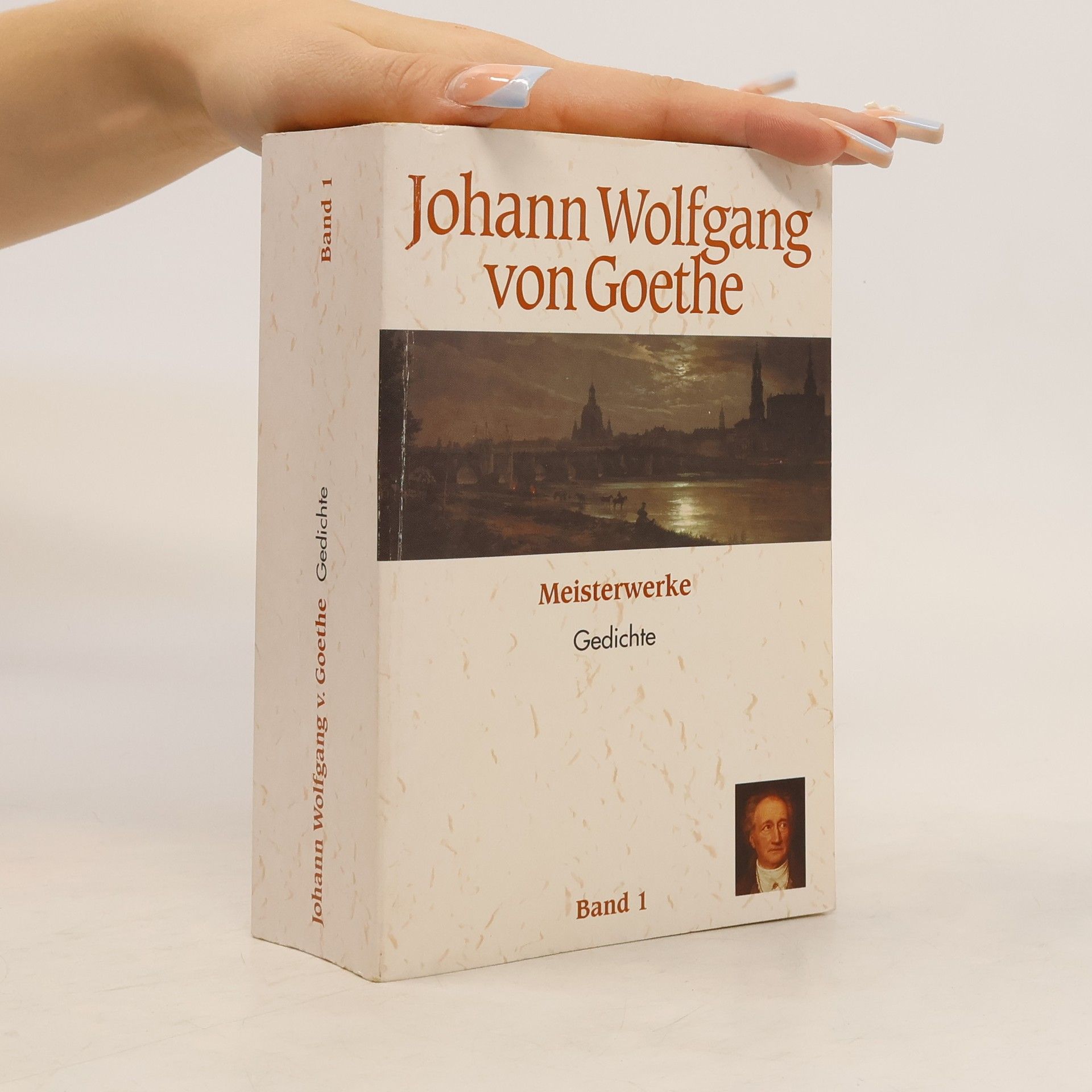 Johann Wolfgang von Goethe Meisterwerke. Gedichte 1