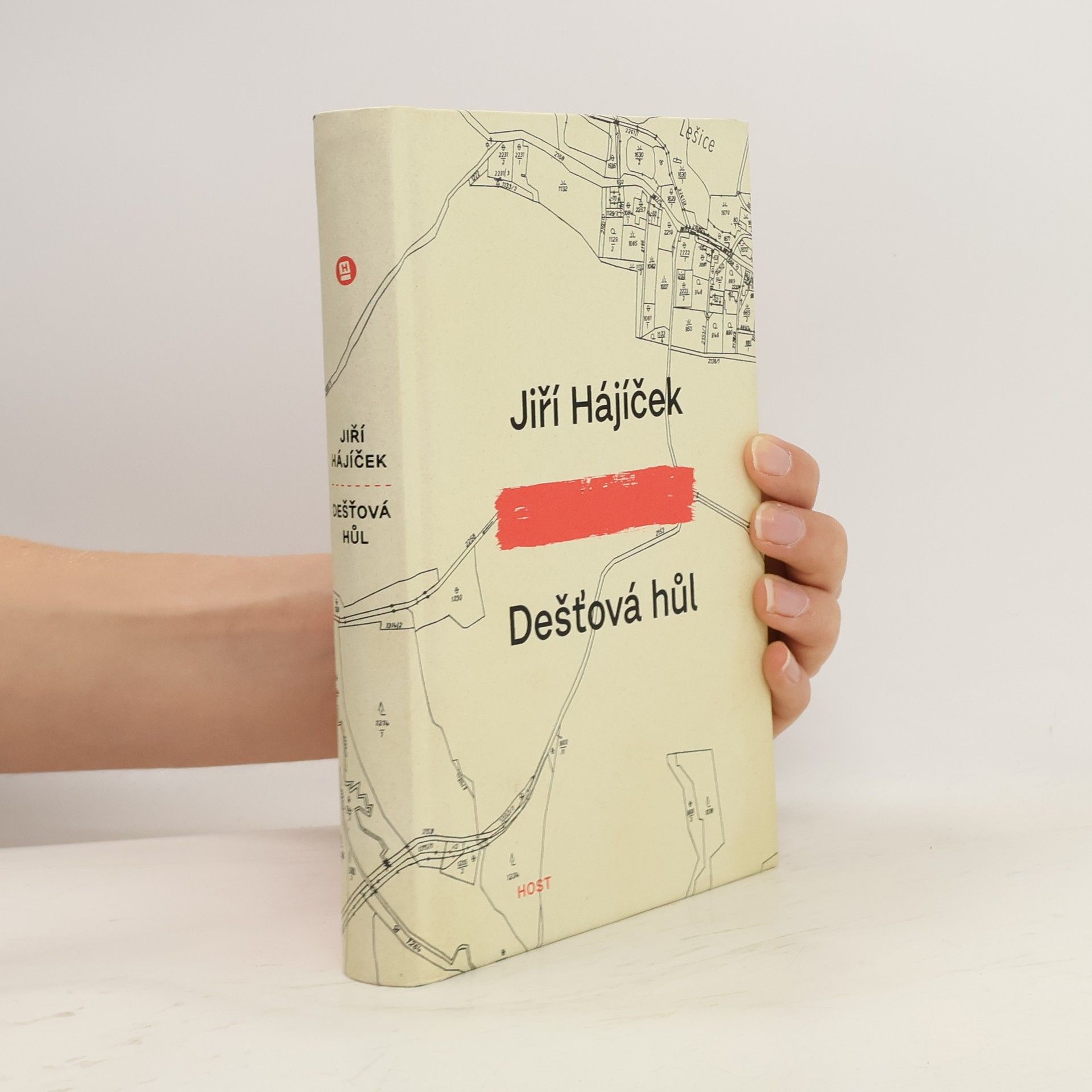 Jiří Hájíček Dešťová hůl