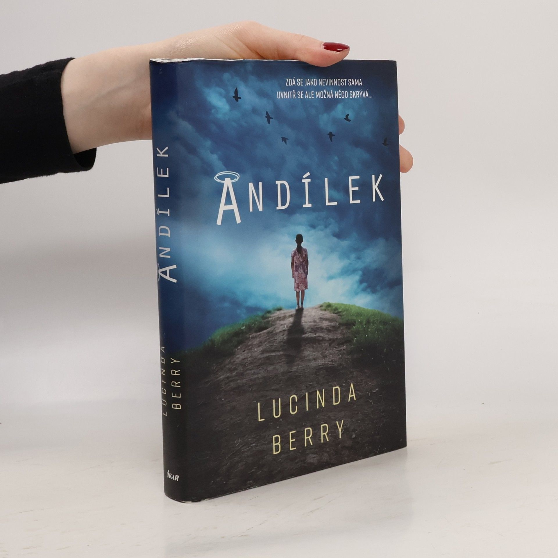 Lucinda Berry Andílek