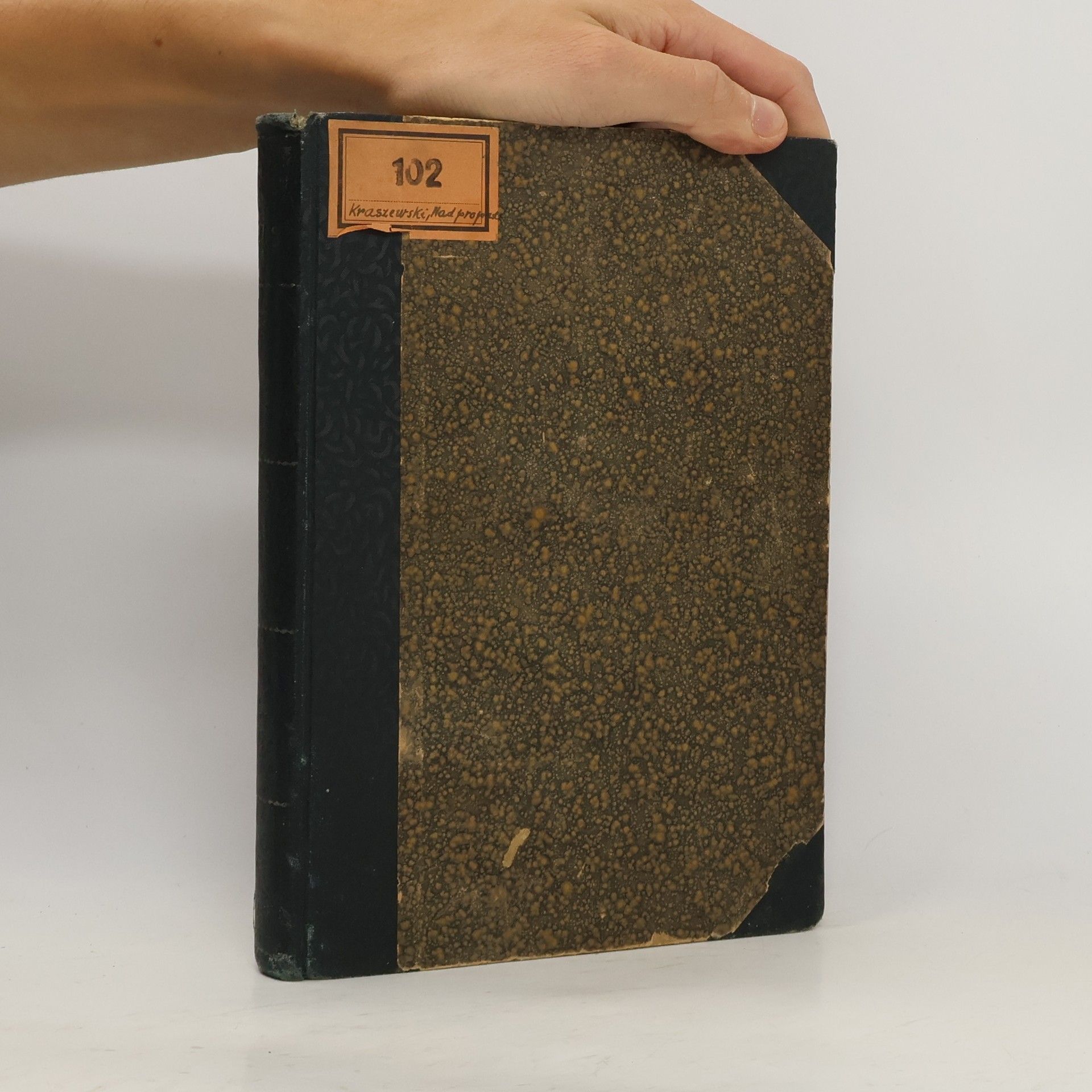 Józef Ignacy Kraszewski Nad propastí