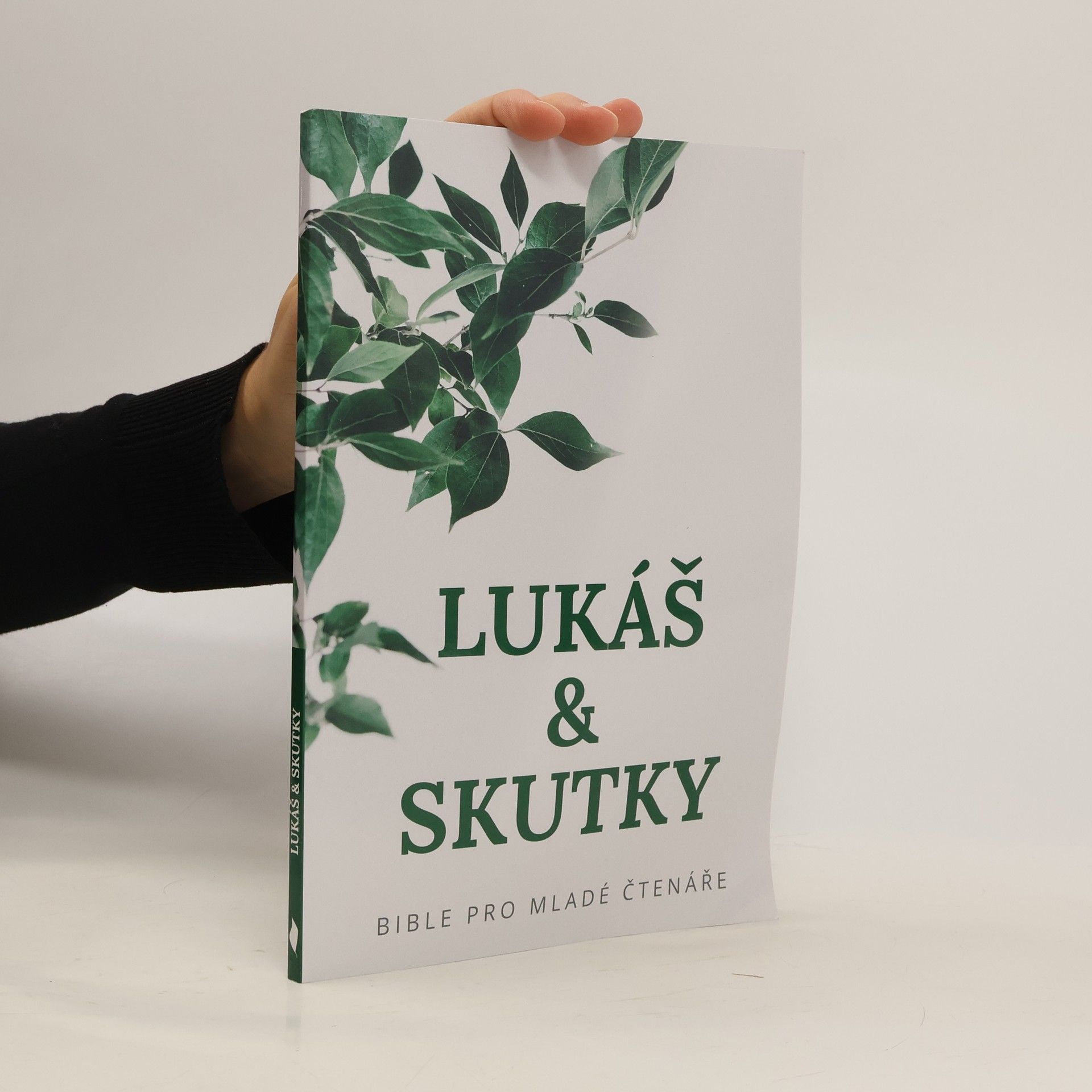 Kolektiv autorů Lukáš & skutky