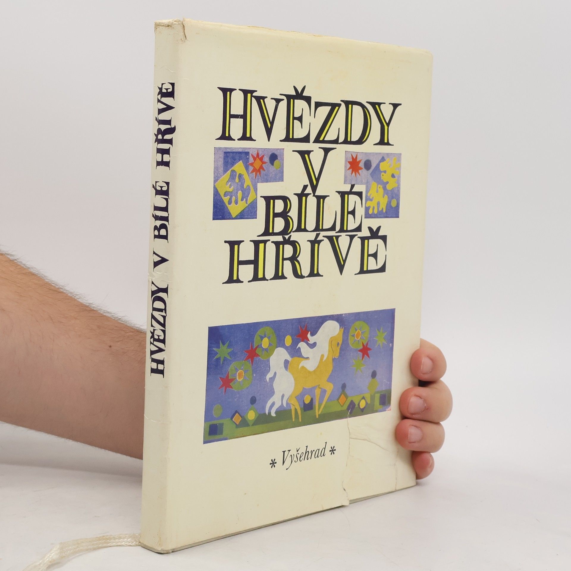 Zuzana Nováková Hvězdy v bílé hřívě