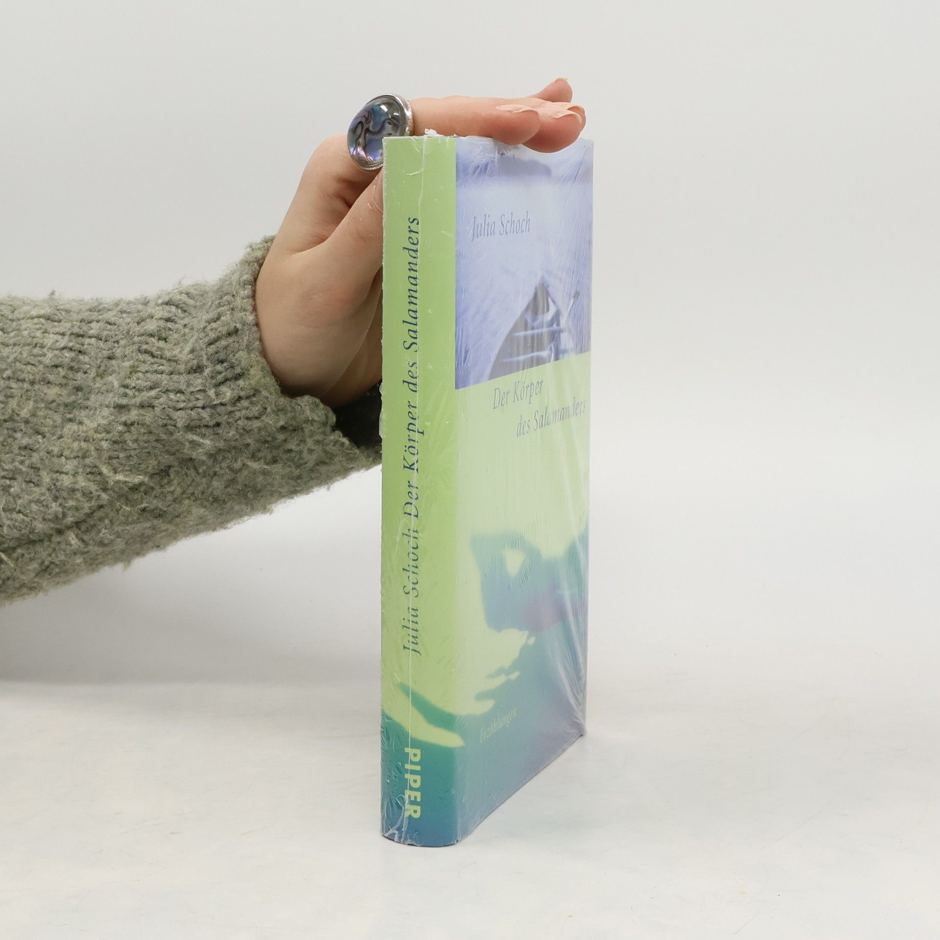 Der Körper des Salamanders : Erzählungen