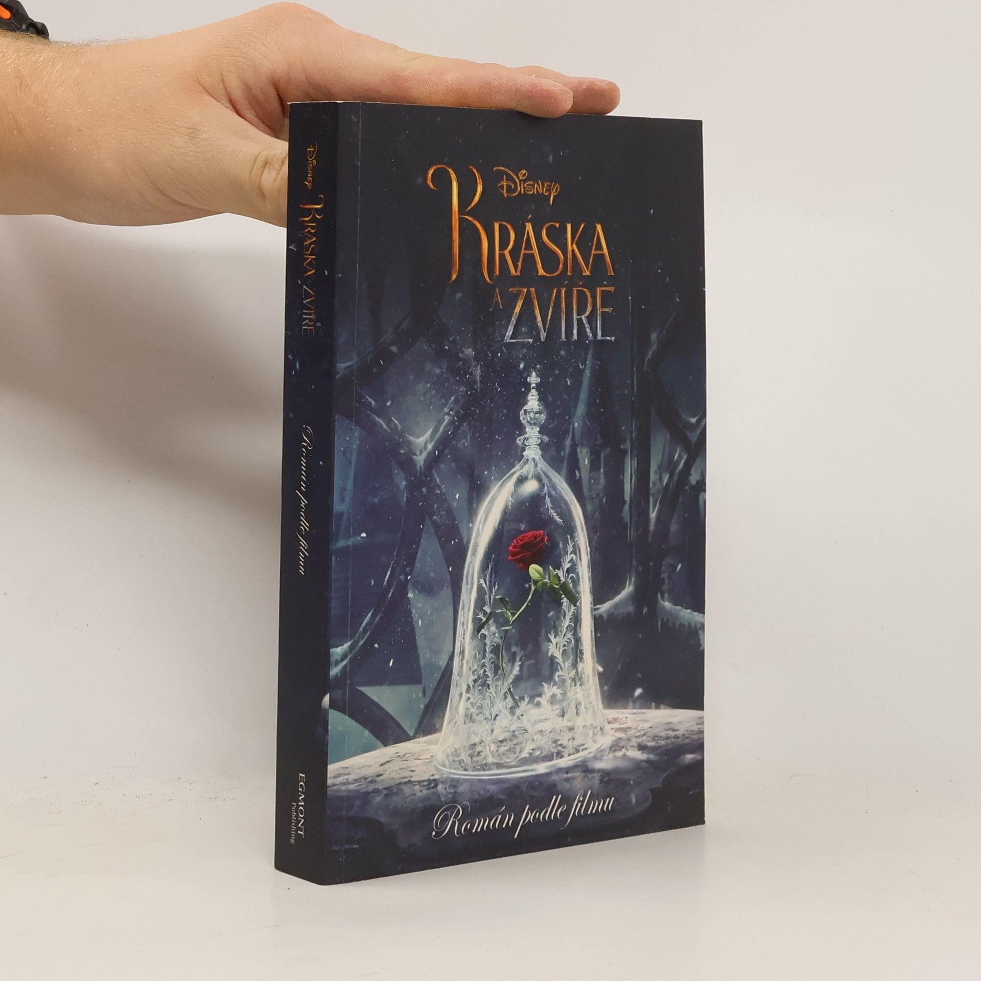 Elizabeth Rudnick Kráska a Zvíře