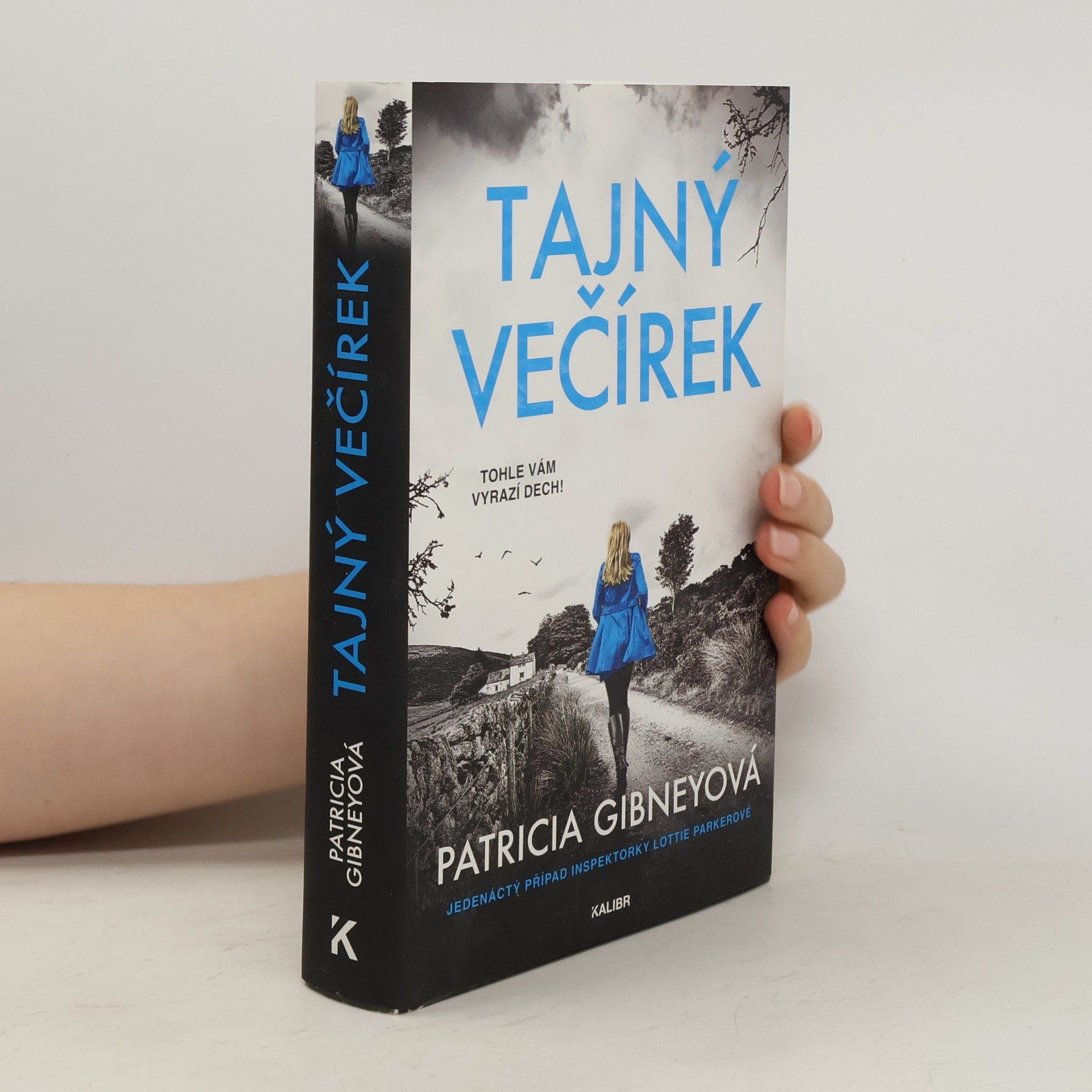 Patricia Gibney Tajný večírek