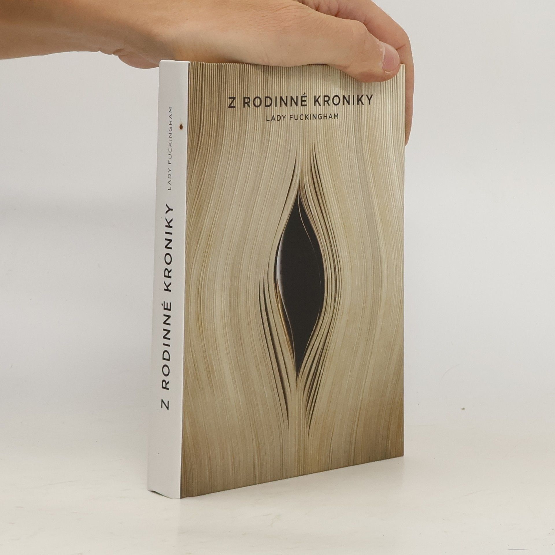 Autorenkollektiv Z rodinné kroniky Lady Fuckingham