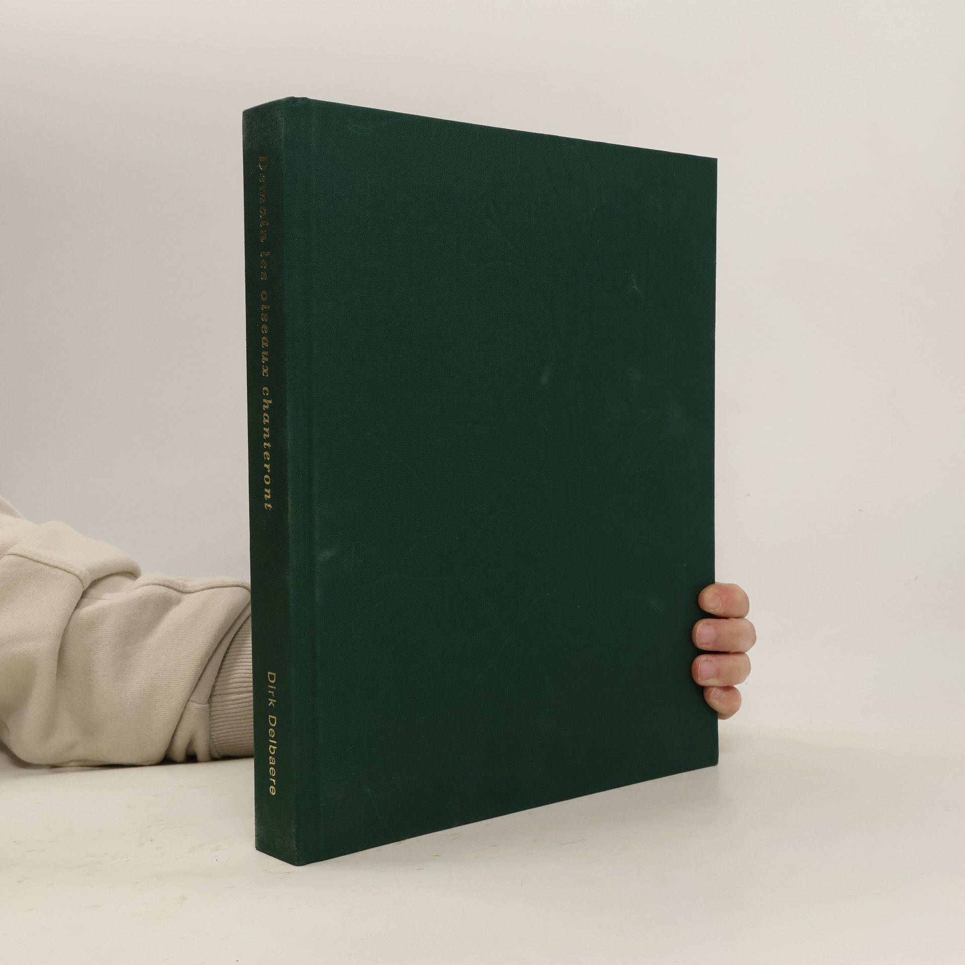 Dirk Delbaere Demain les oiseaux chanteront