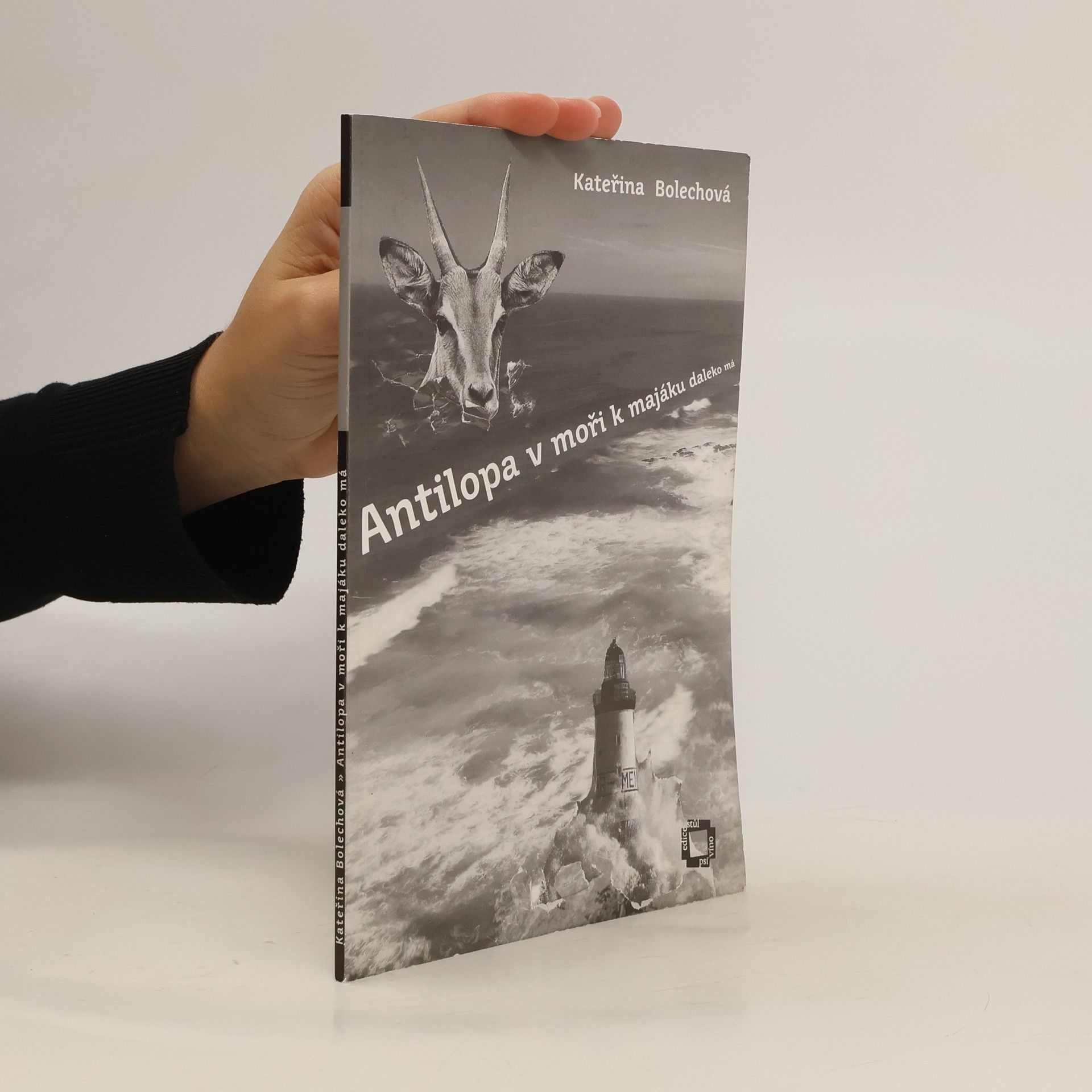 Kateřina Bolechová Antilopa v moři k majáku daleko má