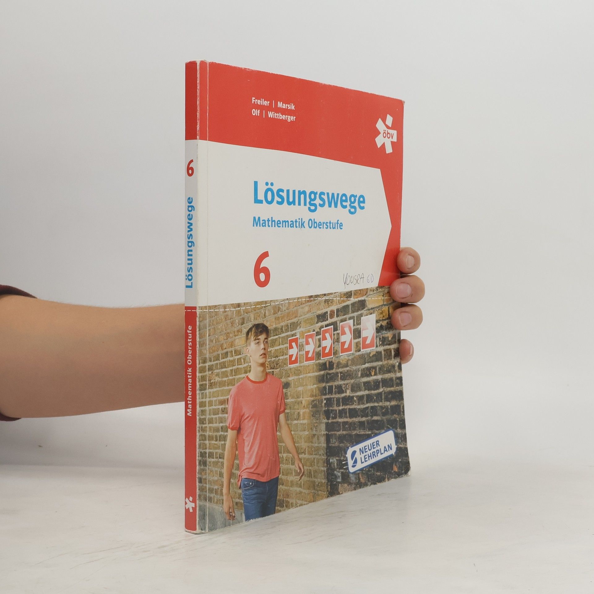 Collectif d'auteurs Lösungswege Mathematik Oberstufe 6