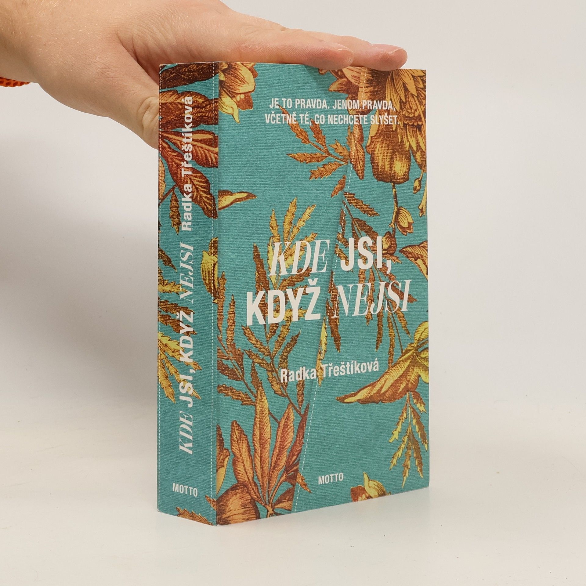 Radka Třeštíková Kde jsi, když nejsi