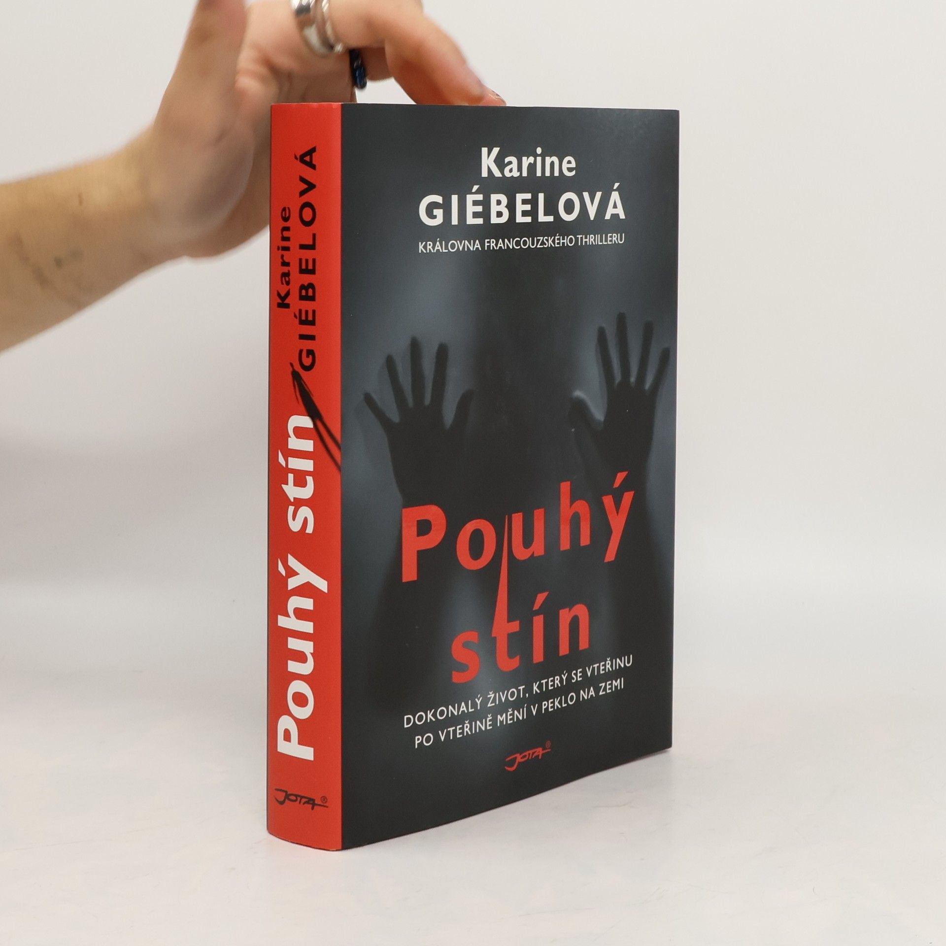 Karine Giebel Pouhý stín