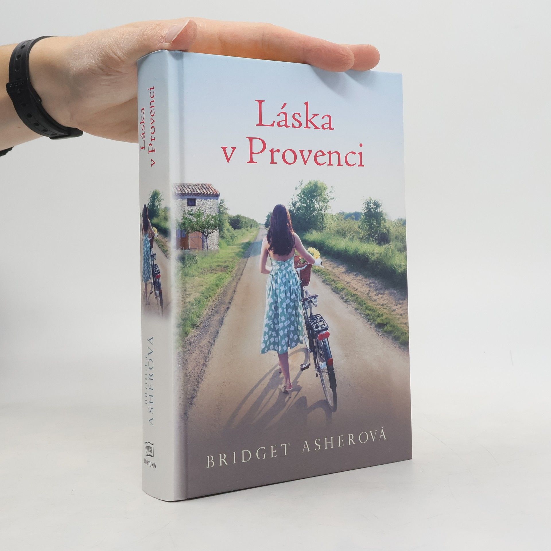 Bridget Asher Láska v Provenci