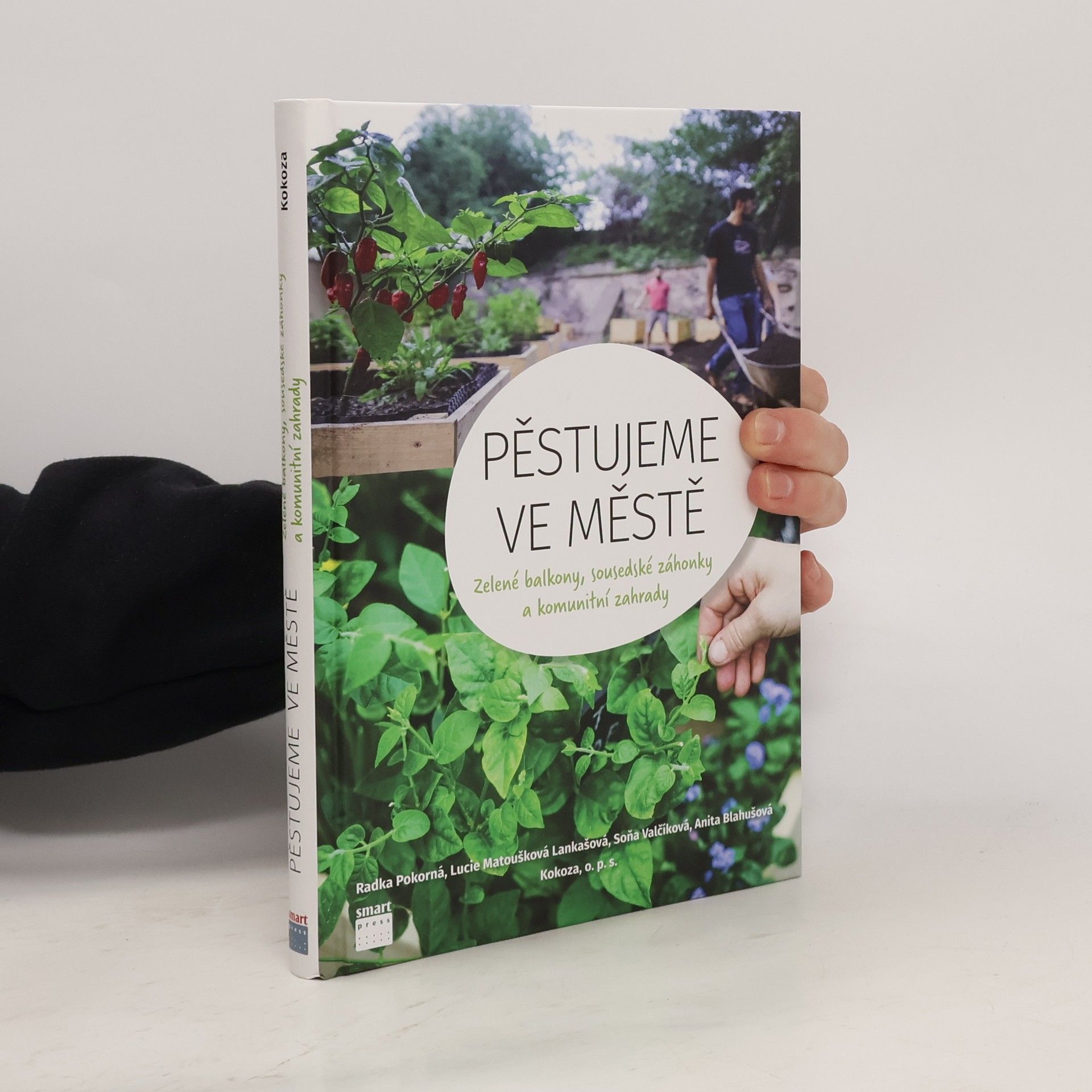 Radka Pokorná Pěstujeme ve městě. Zelené balkony, sousedské záhonky a komunitní zahrady
