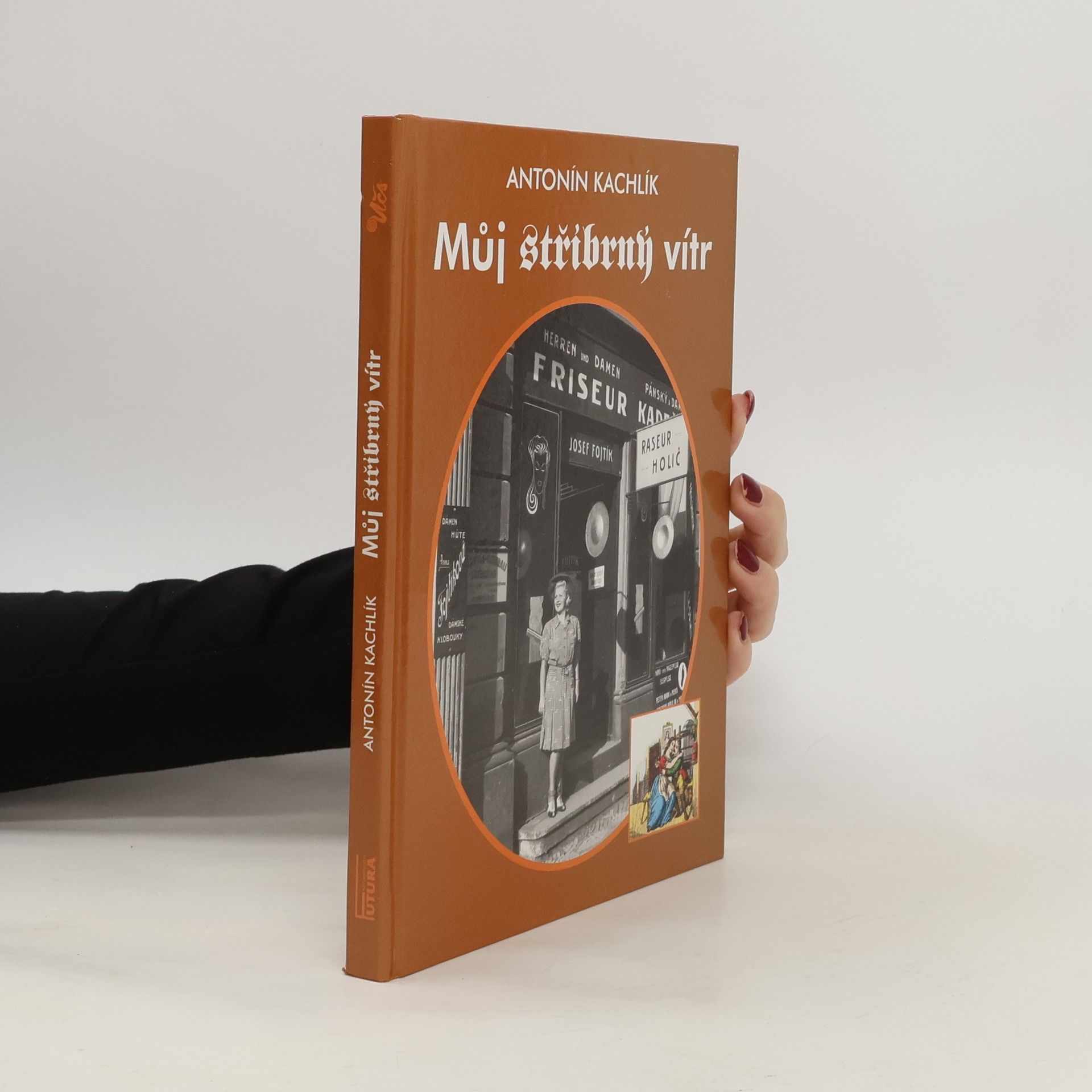 Můj stříbrný vítr