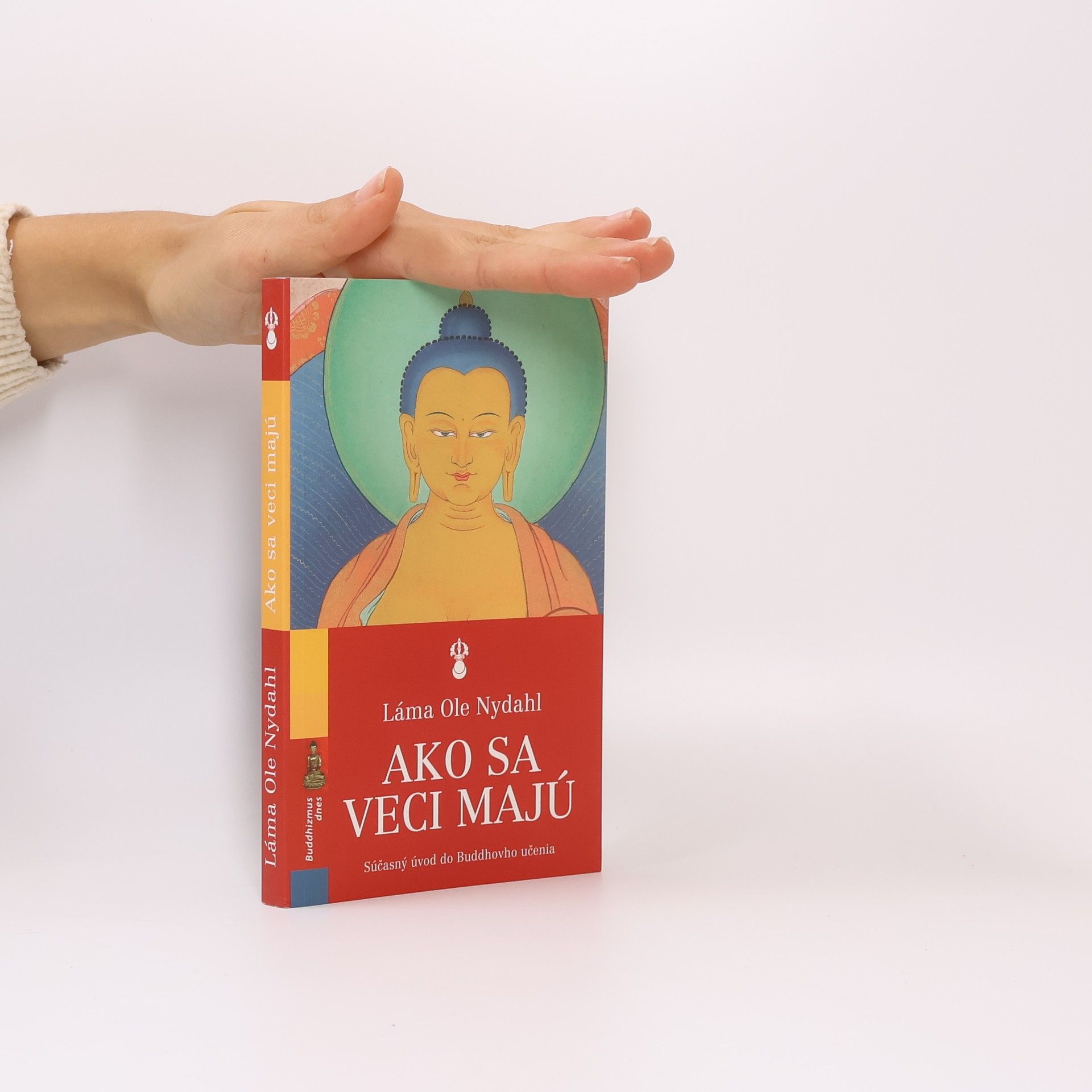 Ako sa veci majú: Súčasný úvod do Buddhovho učenia